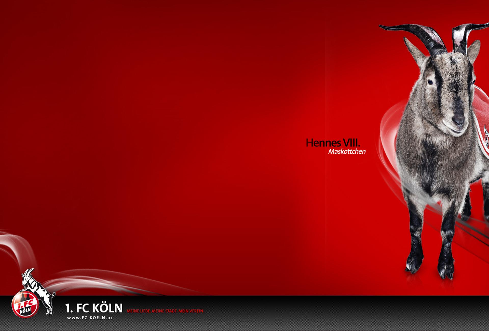 Beautiful FC KÃ¶ln Wallpaper. Full HD Picture
