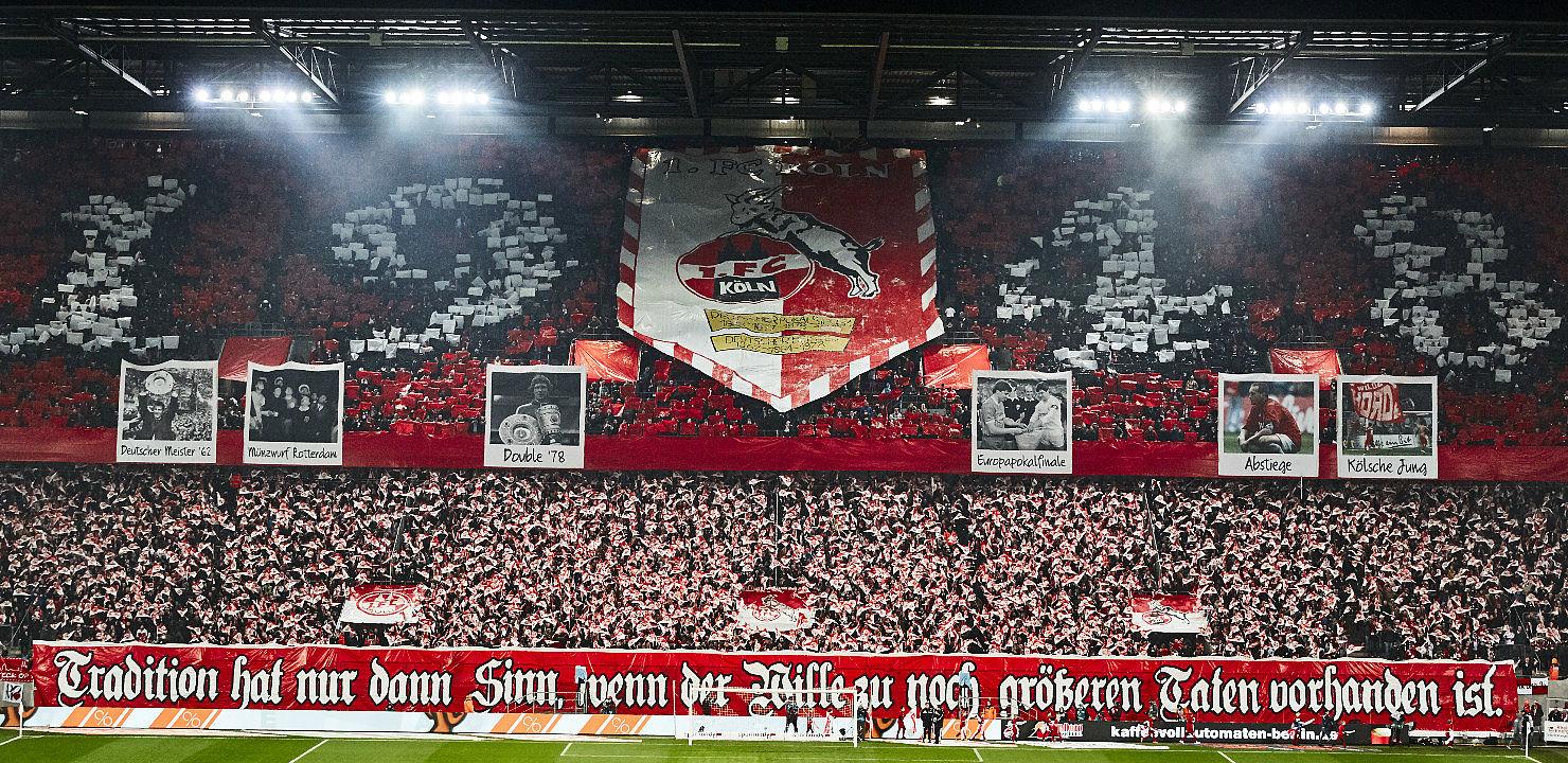 1. FC Köln. Reason to Celebrate
