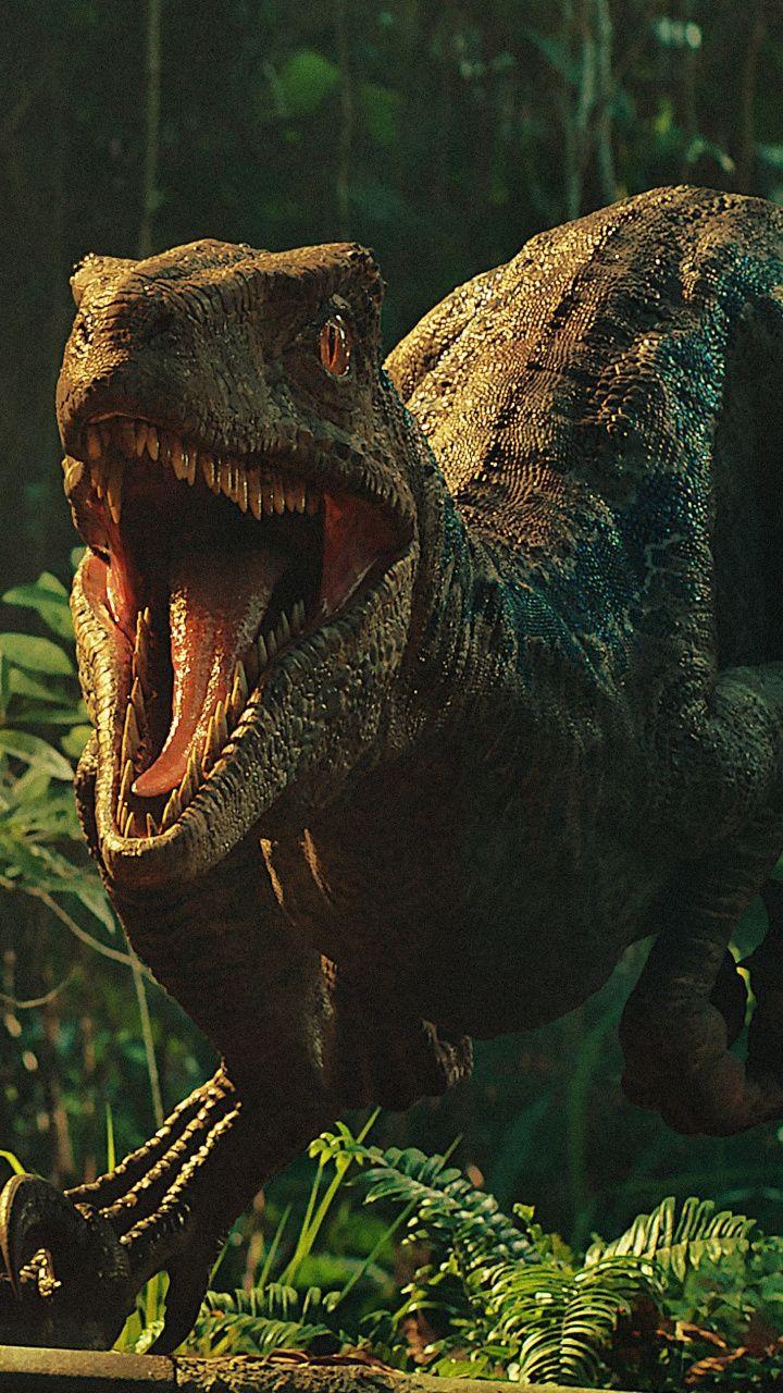 Movie, Jurassic World: Fallen Kingdom, dinosaur, 720x1280