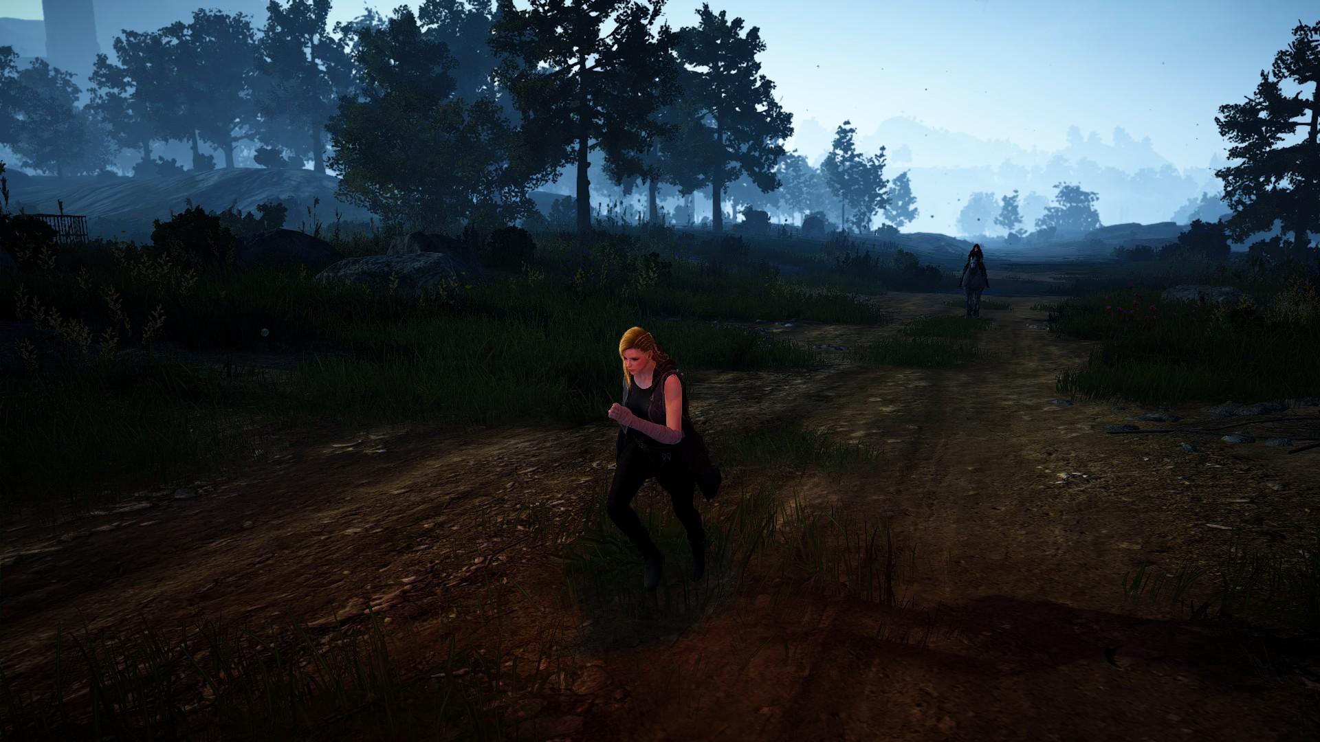 Black Desert Wallpaper HD / Desktop and Mobile Background