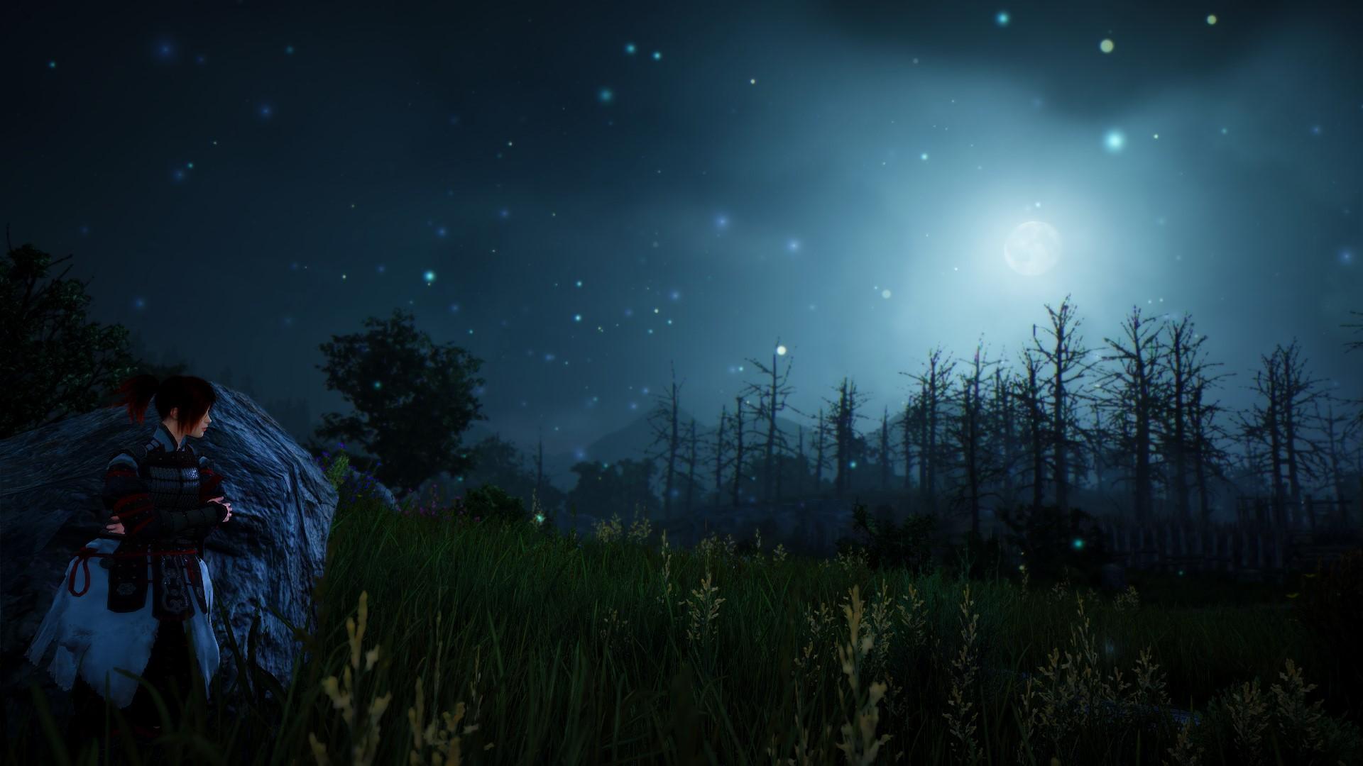 Black Desert Online HD Wallpaper 16 X 1080