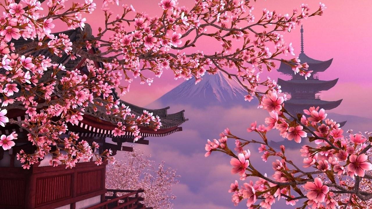 Japanese Cherry Blossom Wallpaper 29 Image On Genchi Throughout