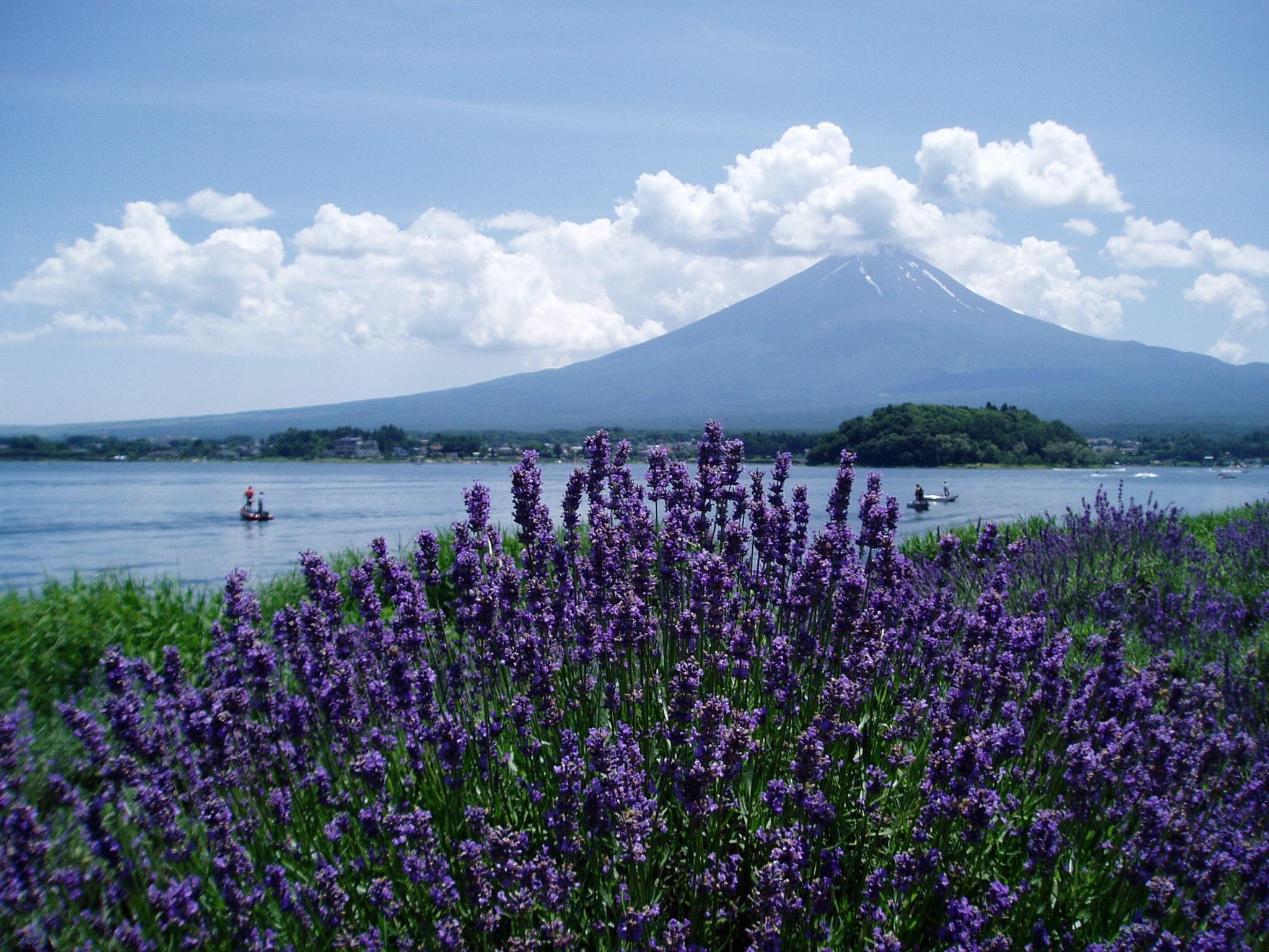 Район пяти озер Фудзи в Японии