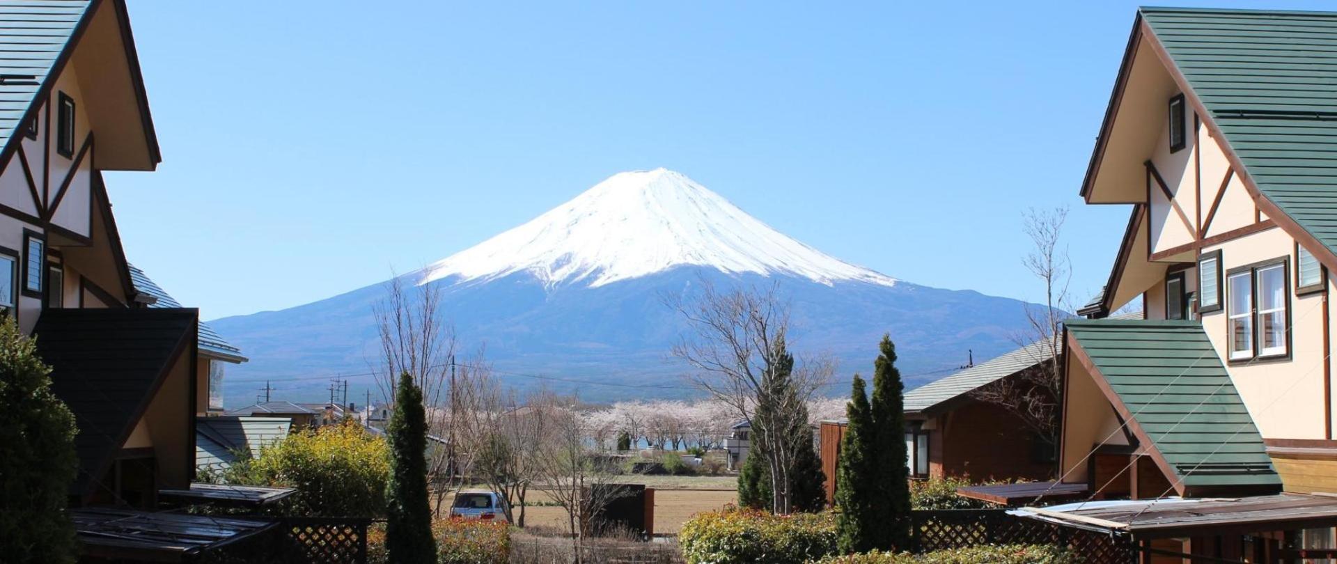 Spring Flower Garden Mount Fuji Lake Kawaguchi Wallpapers Wallpaper Cave