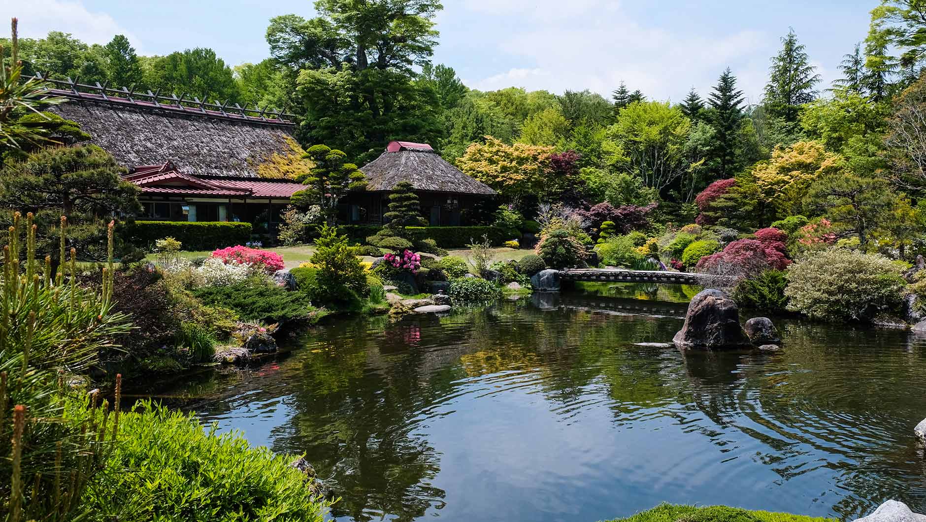 Spring Flower Garden Mount Fuji Lake Kawaguchi Wallpapers Wallpaper Cave