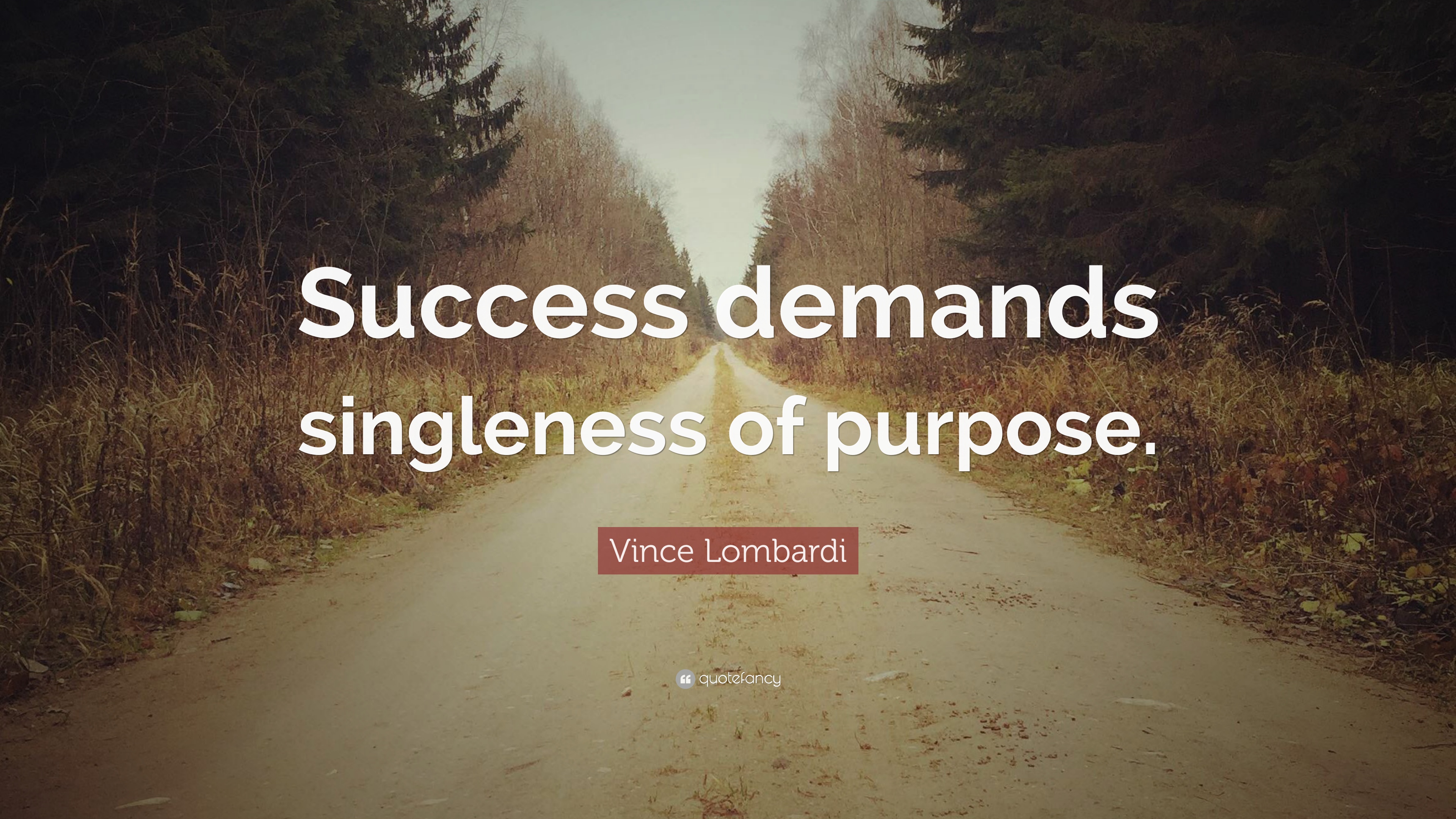 Vince Lombardi Quote: “Success demands singleness of purpose.” 12