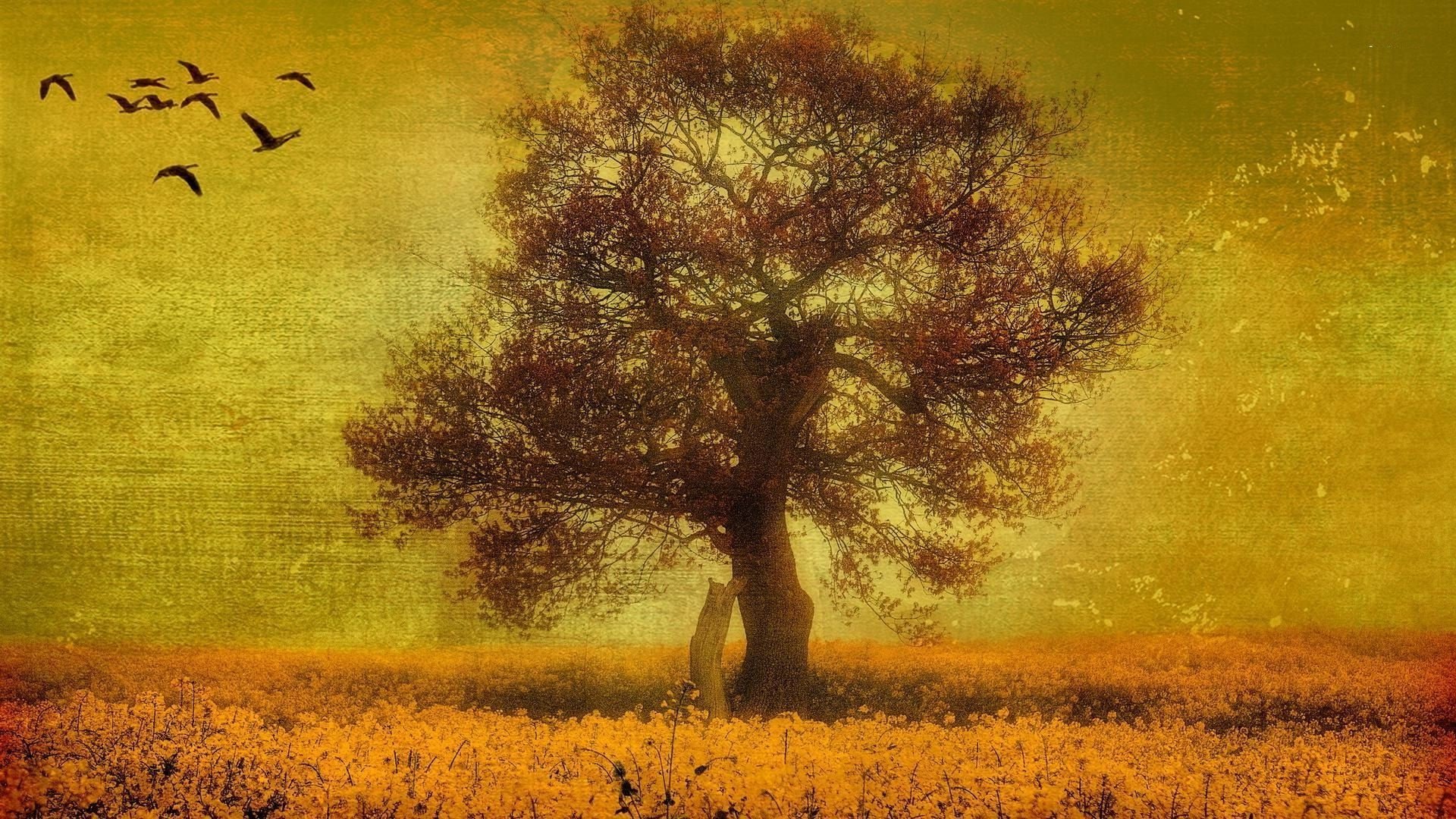 Tree Wallpaper Art Image