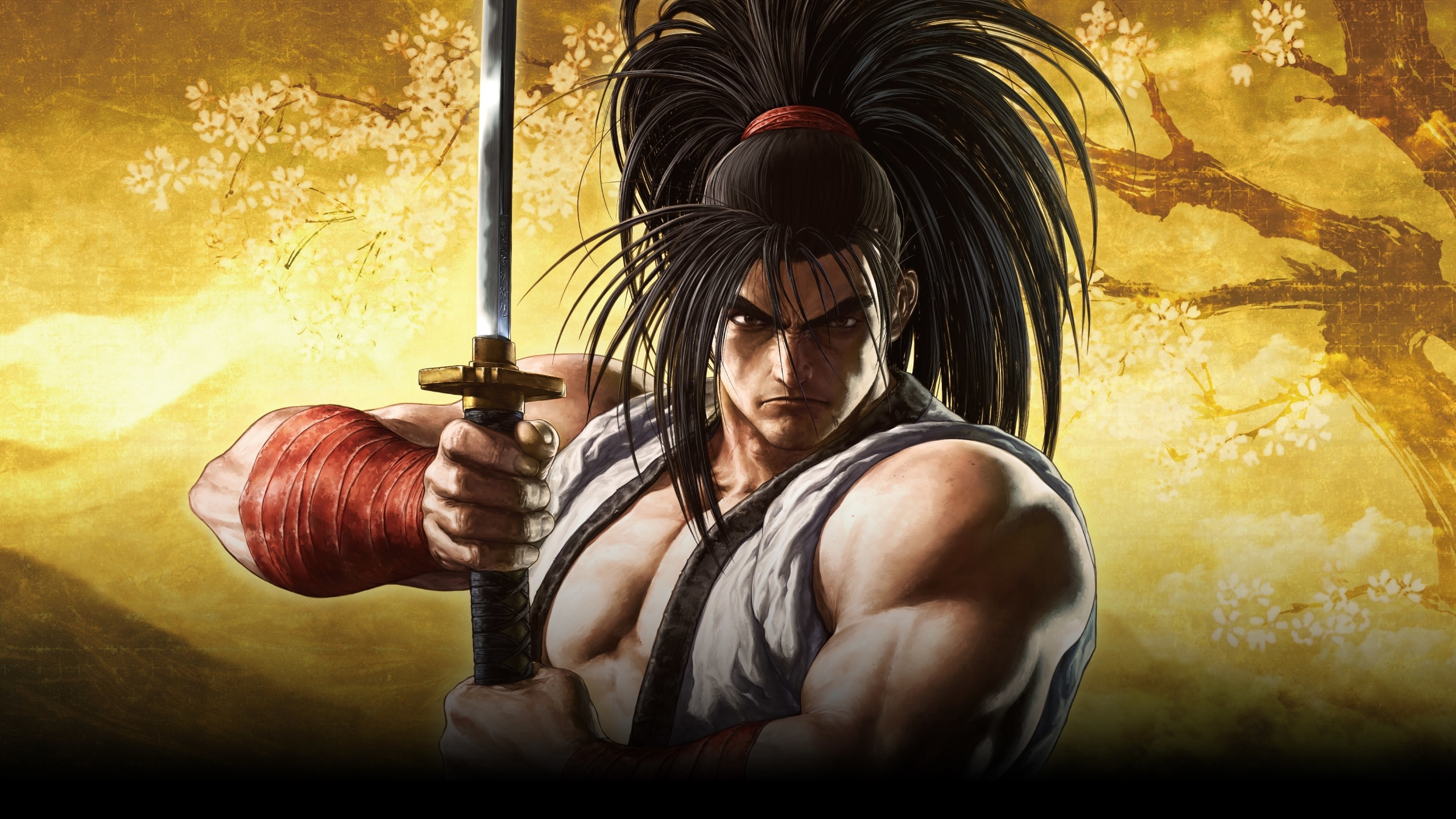 Samurai Shodown Wallpapers Wallpaper Cave