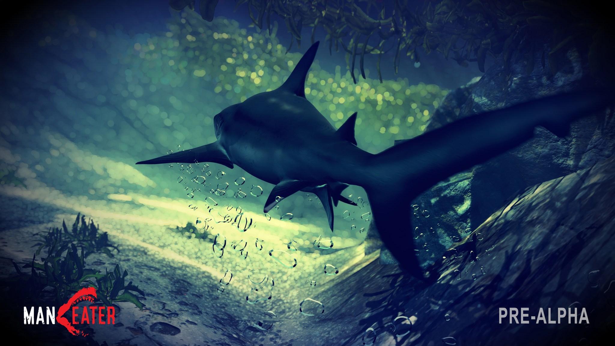 Jaws Unleashed in New Image from Video Game 'Maneater, ' Where You