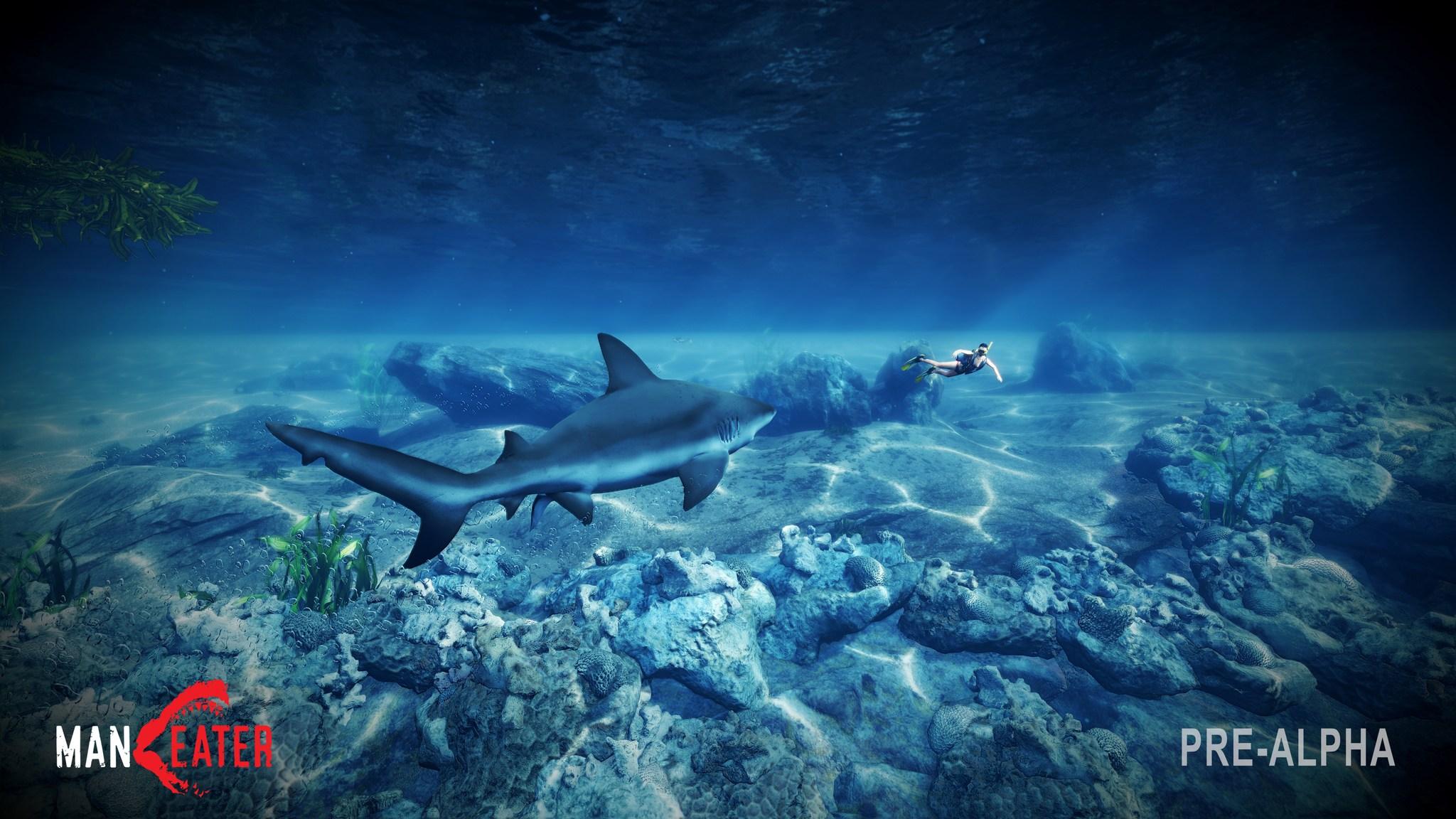 Jaws Unleashed in New Image from Video Game 'Maneater, ' Where You
