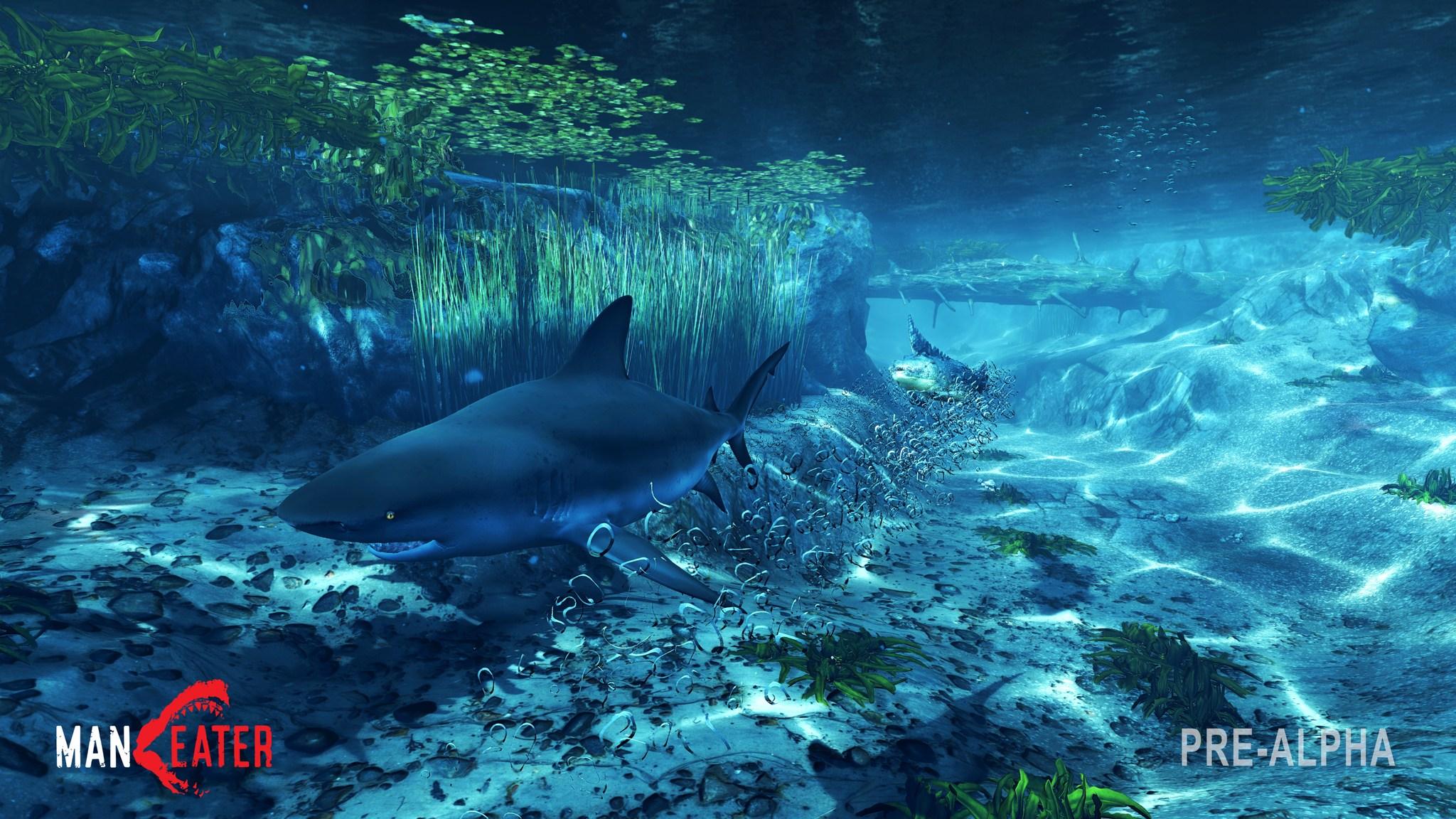 Jaws Unleashed in New Images from Video Game 'Maneater,' Where You