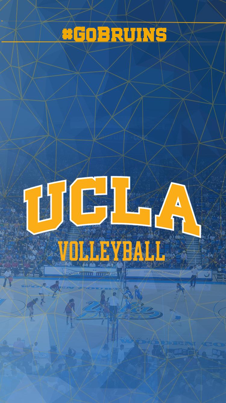 Ucla Bruins Wallpaper (image in Collection)