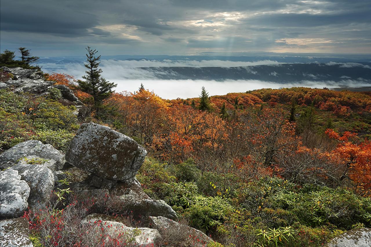 Wallpaper USA West Virginia Nature Autumn Hill Landscape