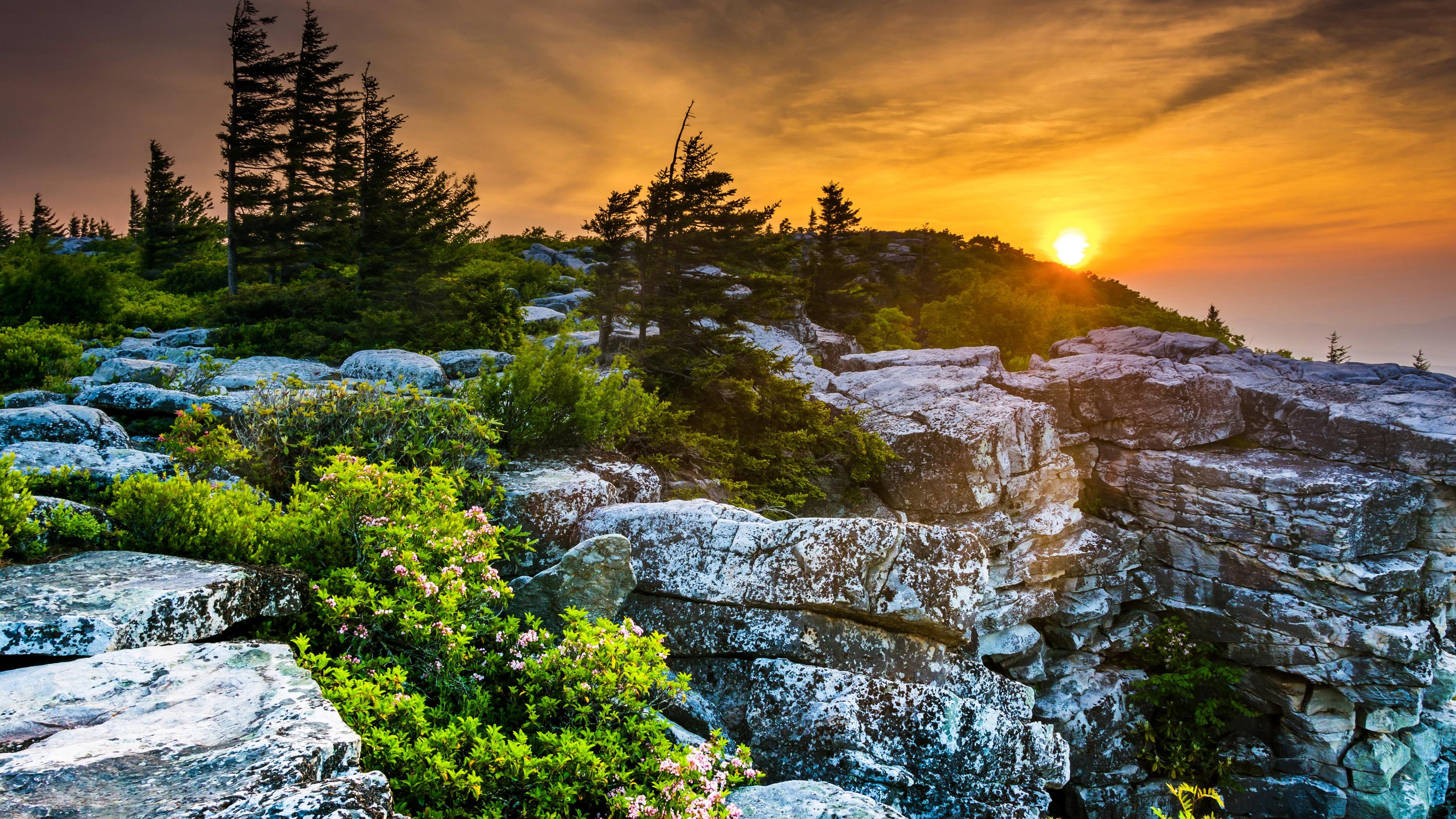 Wallpaper USA, West Virginia, beautiful sunset, rocks, trees, red