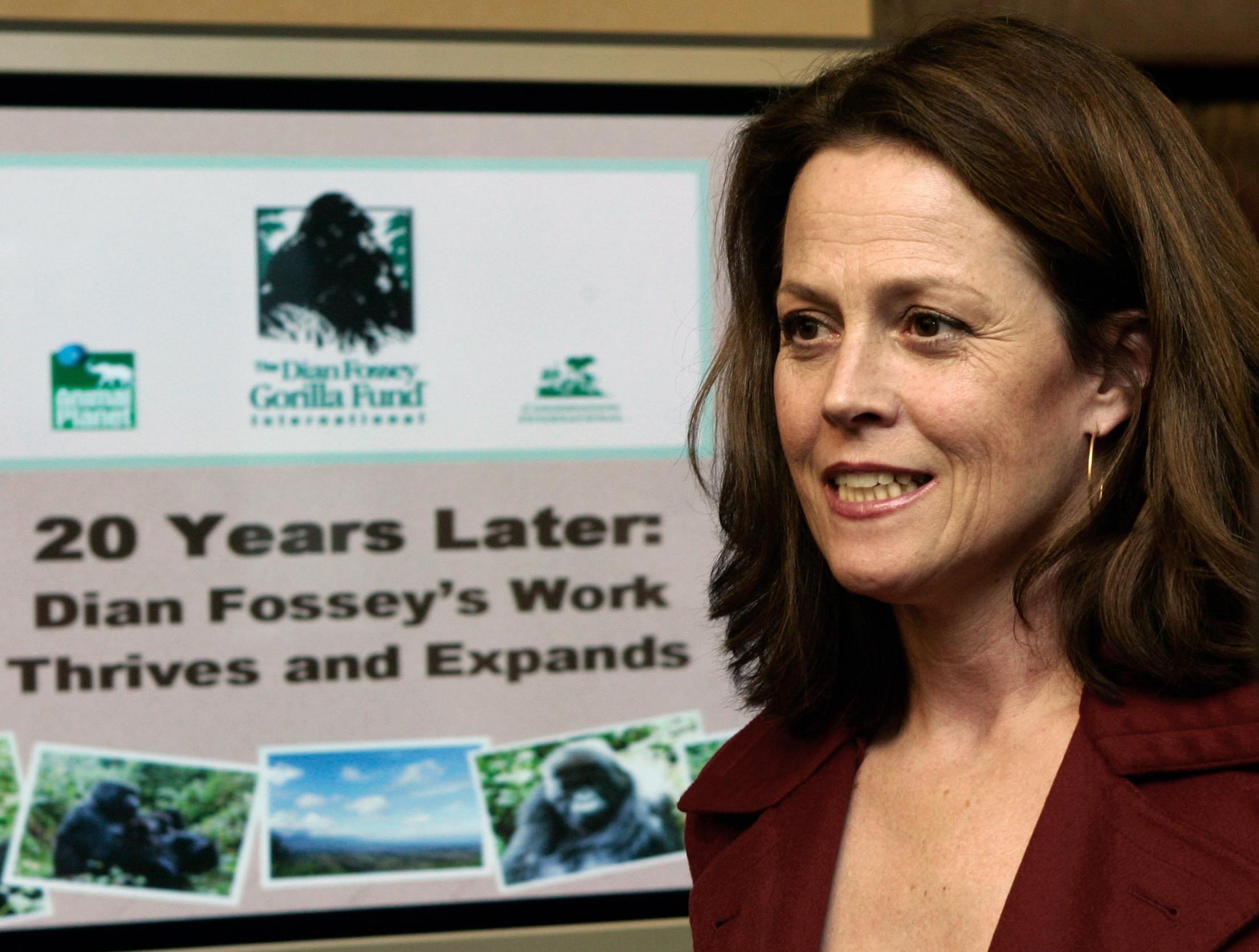 Sigourney Weaver image Dian Fossey Legacy Campaign HD wallpaper