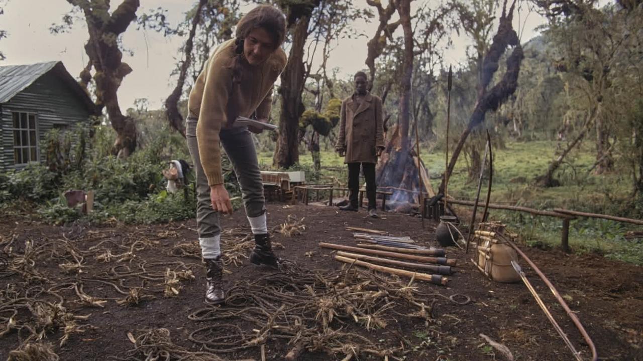 Dian Fossey: Secrets in the Mist Geographic Channel