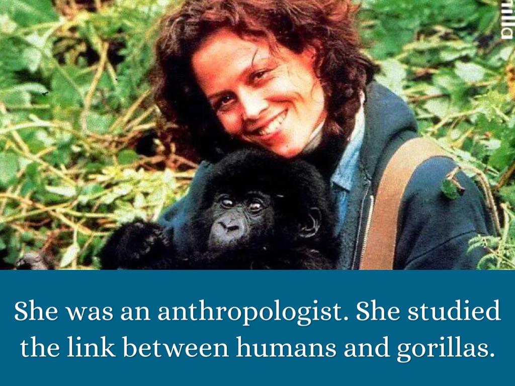 Dian Fossey