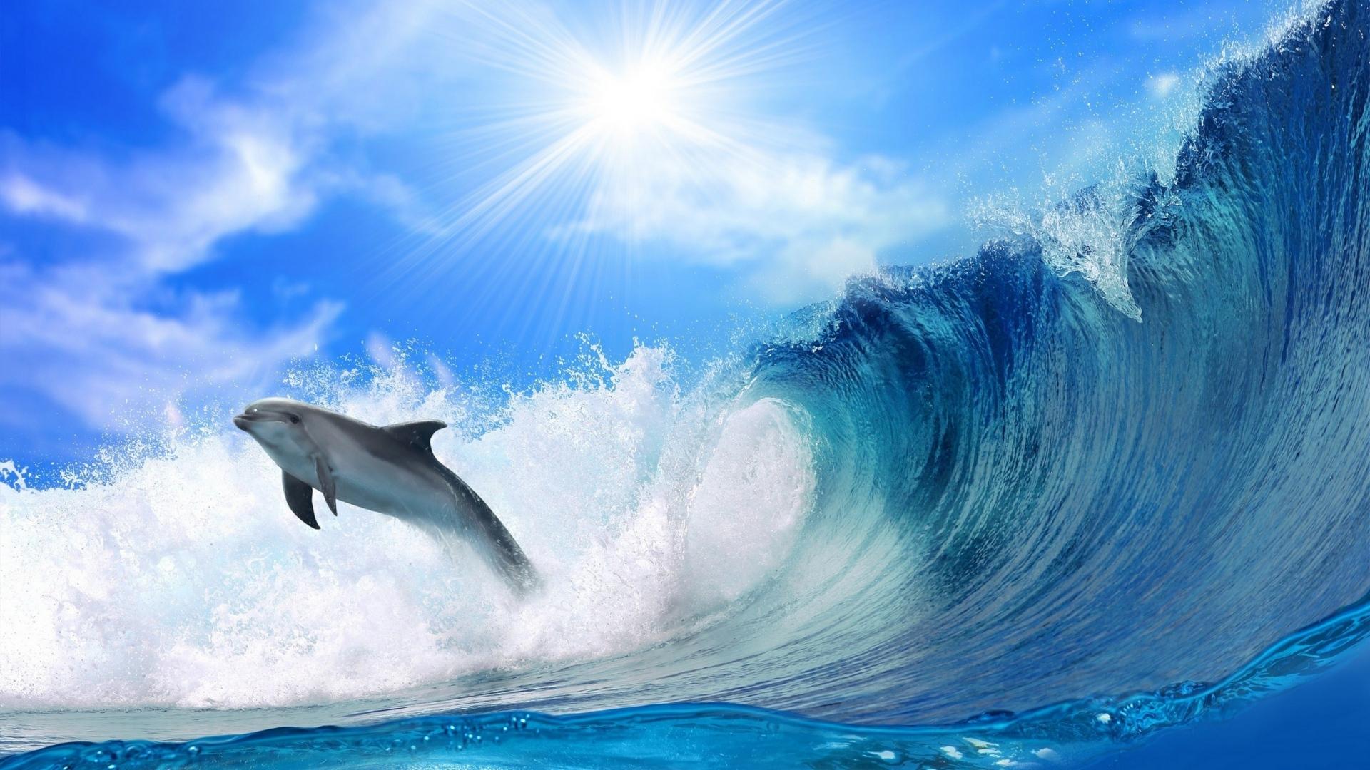 Dolphin jumping in Sea Waves Wallpaper