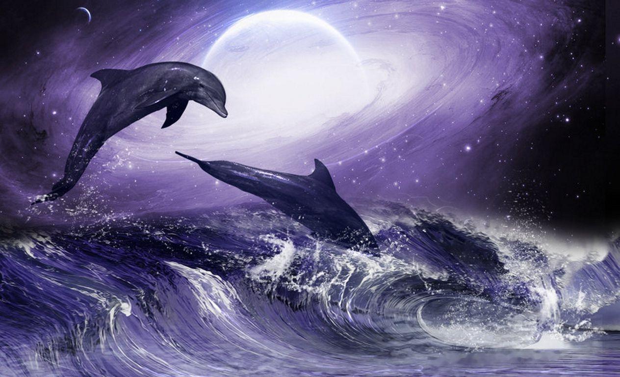 Moonlit Dolphins Jumping Water Sea Artwork HD Wallpaper