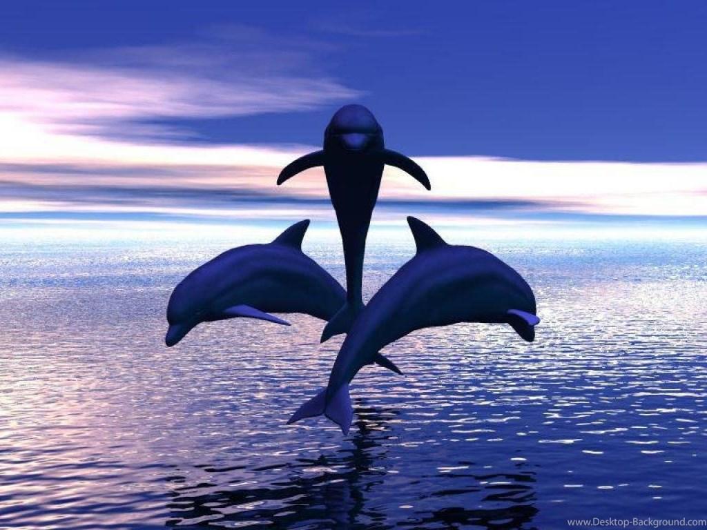 DOLPHINS JUMPING OUT OF THE WATER WALLPAPER Desktop Background