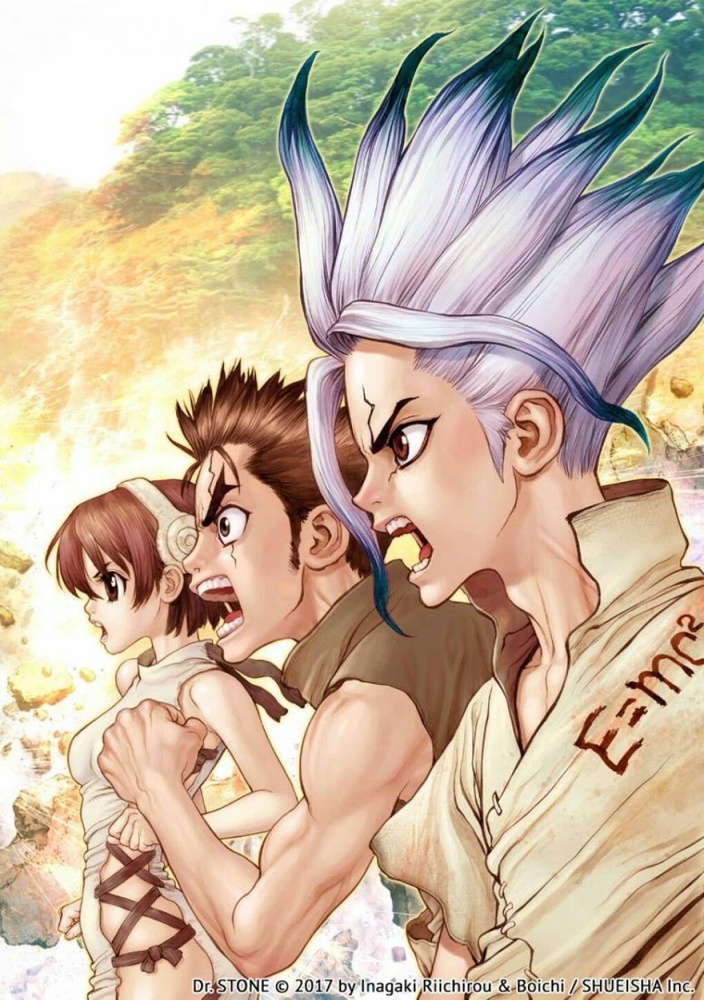 Dr Stone Wallpapers Wallpaper Cave