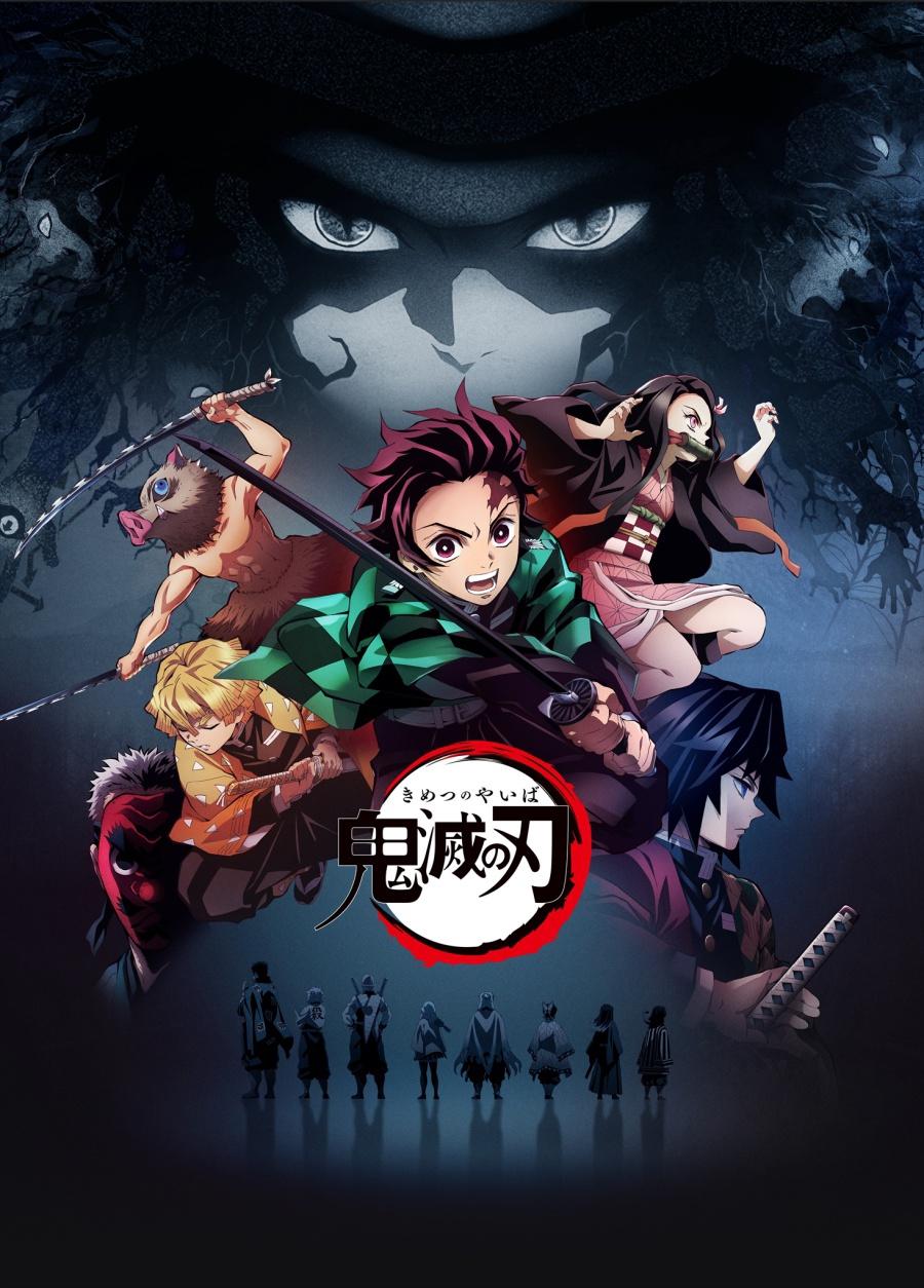 Demon Slayer: Kimetsu No Yaiba (TV Series 2019– )