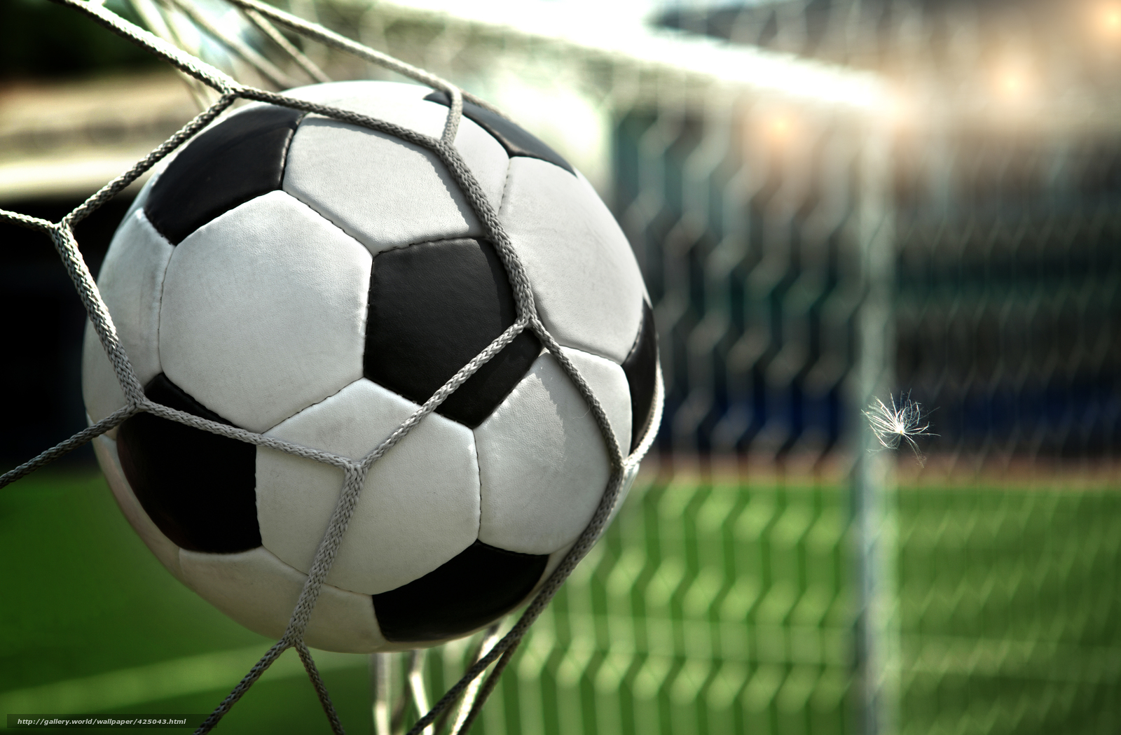 Download wallpaper ball, gate, net, football free desktop wallpaper