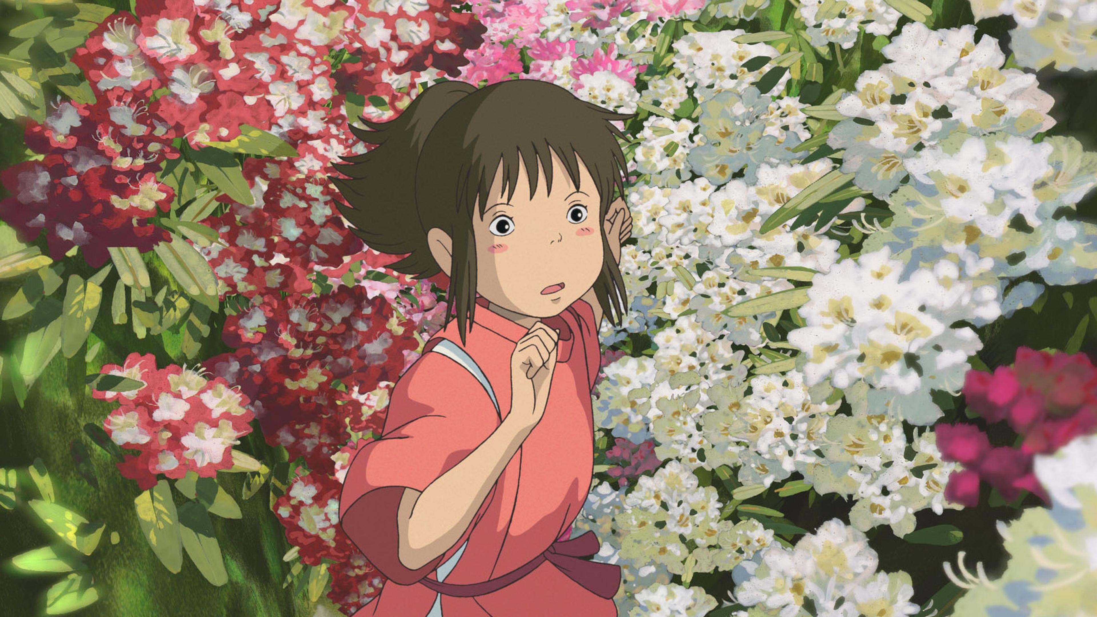 537114 1920x1040 computer wallpaper for spirited away  Rare Gallery HD  Wallpapers