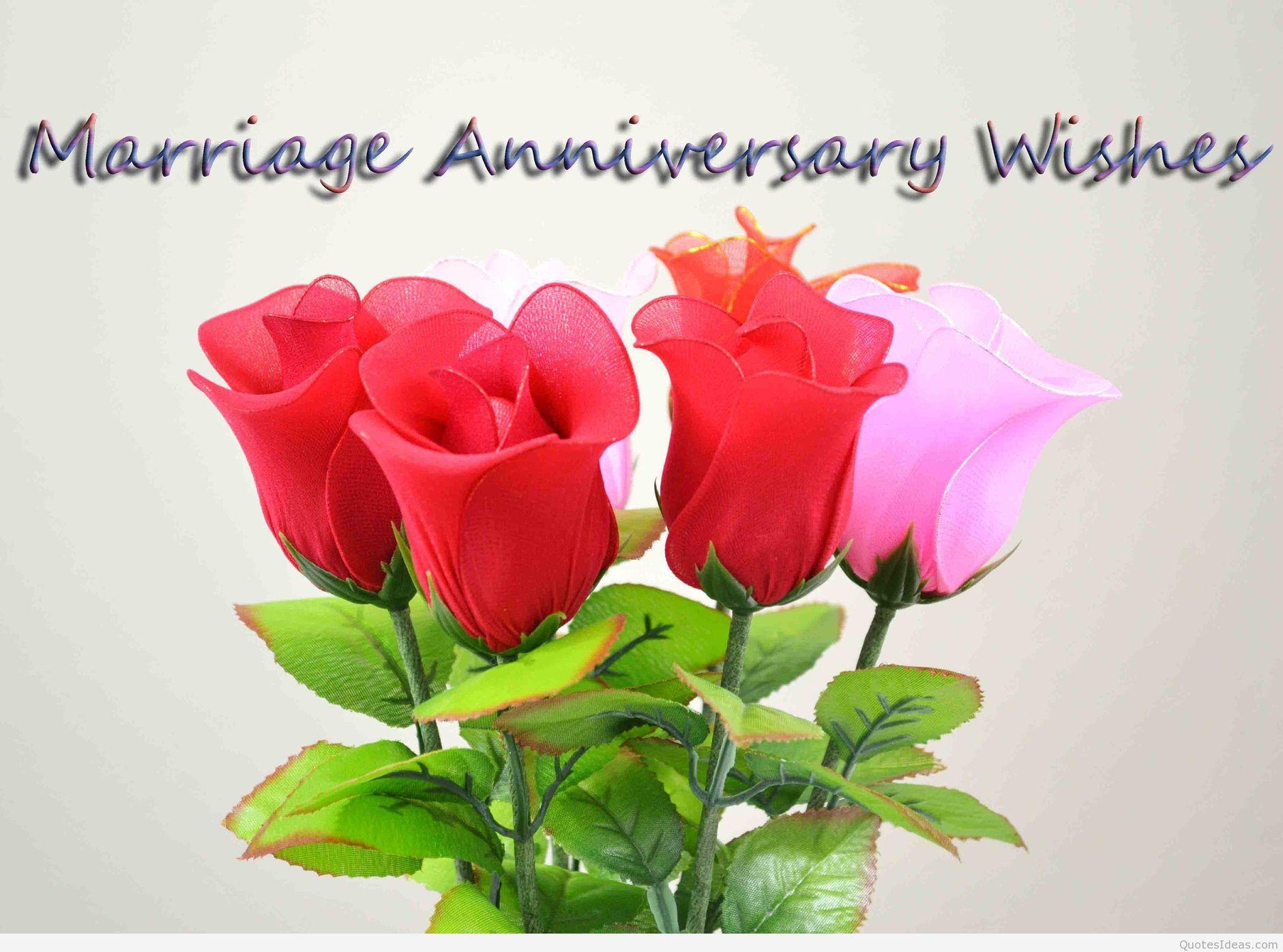 Wishes Happy Anniversary saying HD wallpaper with roses