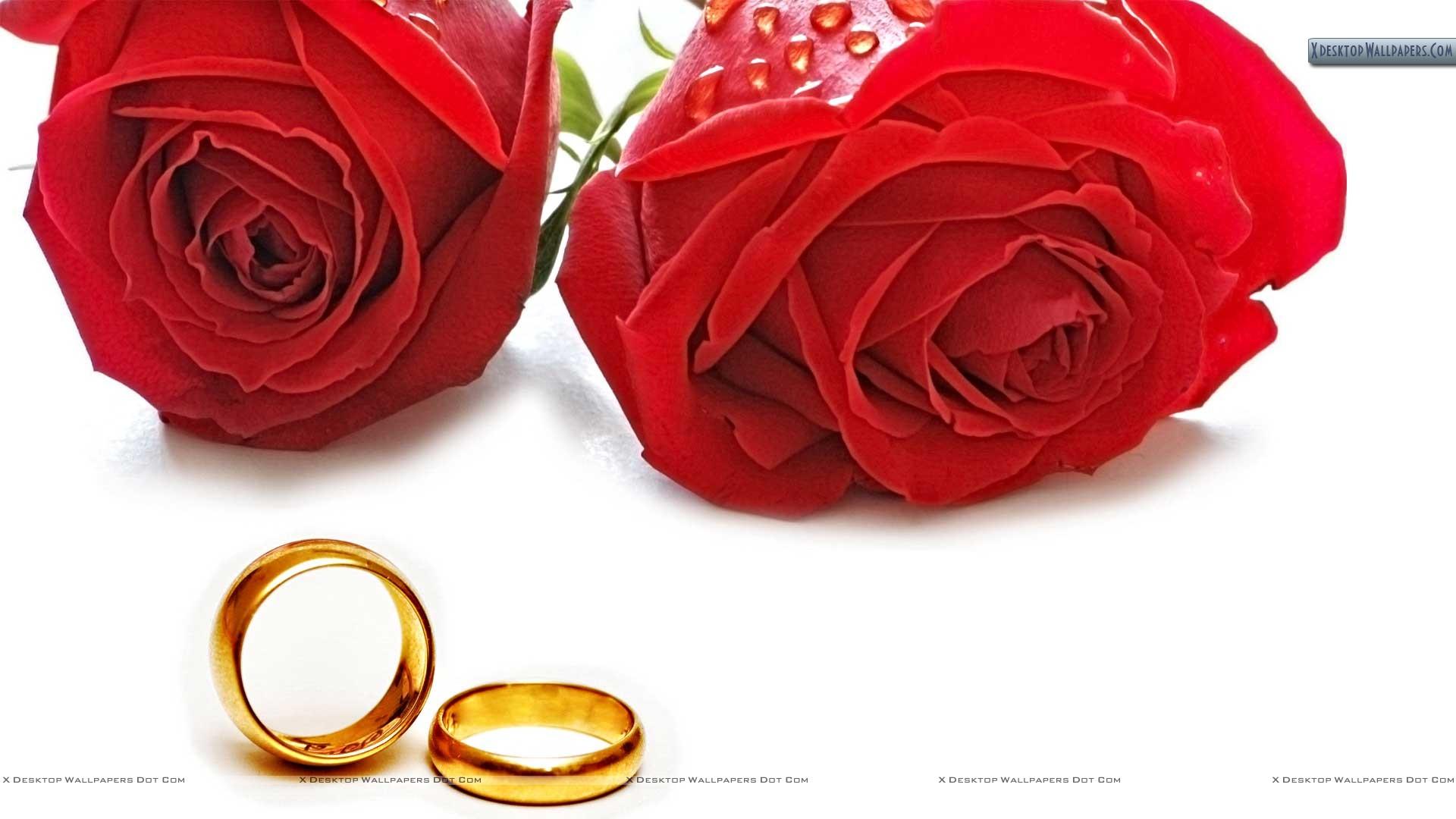 Download Pin Wedding Anniversary Wallpaper Background Red Roses