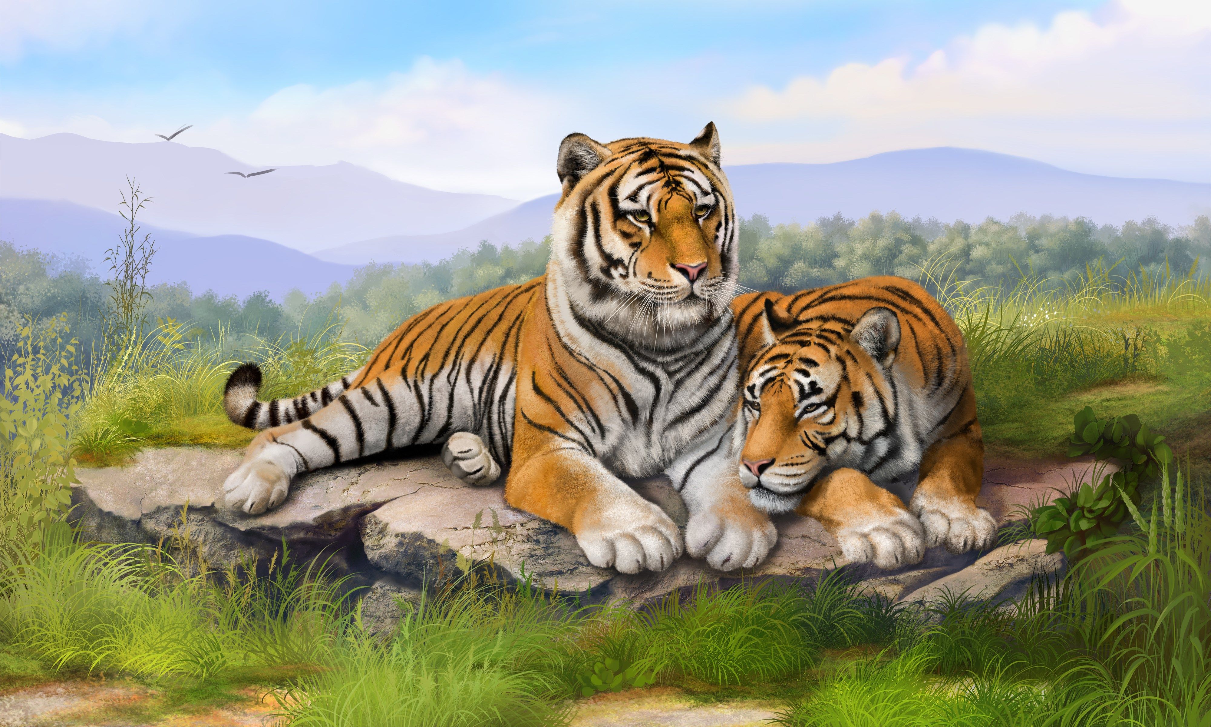 tiger category Resolution Wallpaper = tiger