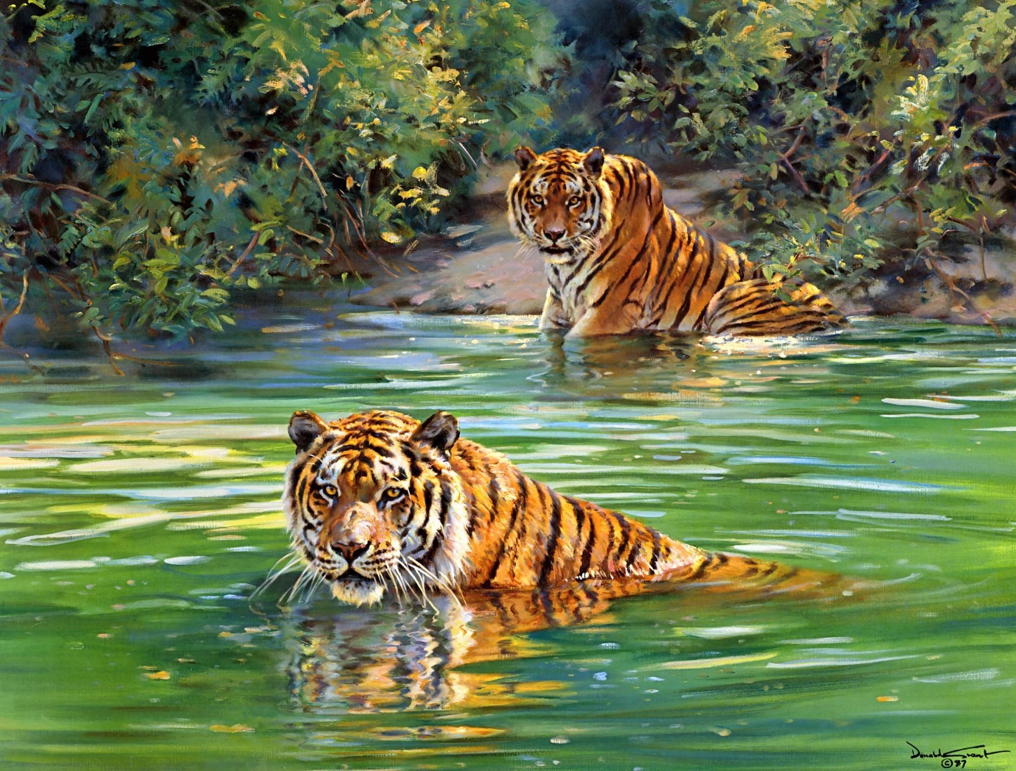 Donald Grant tigers painting river tiger jungle wallpaper
