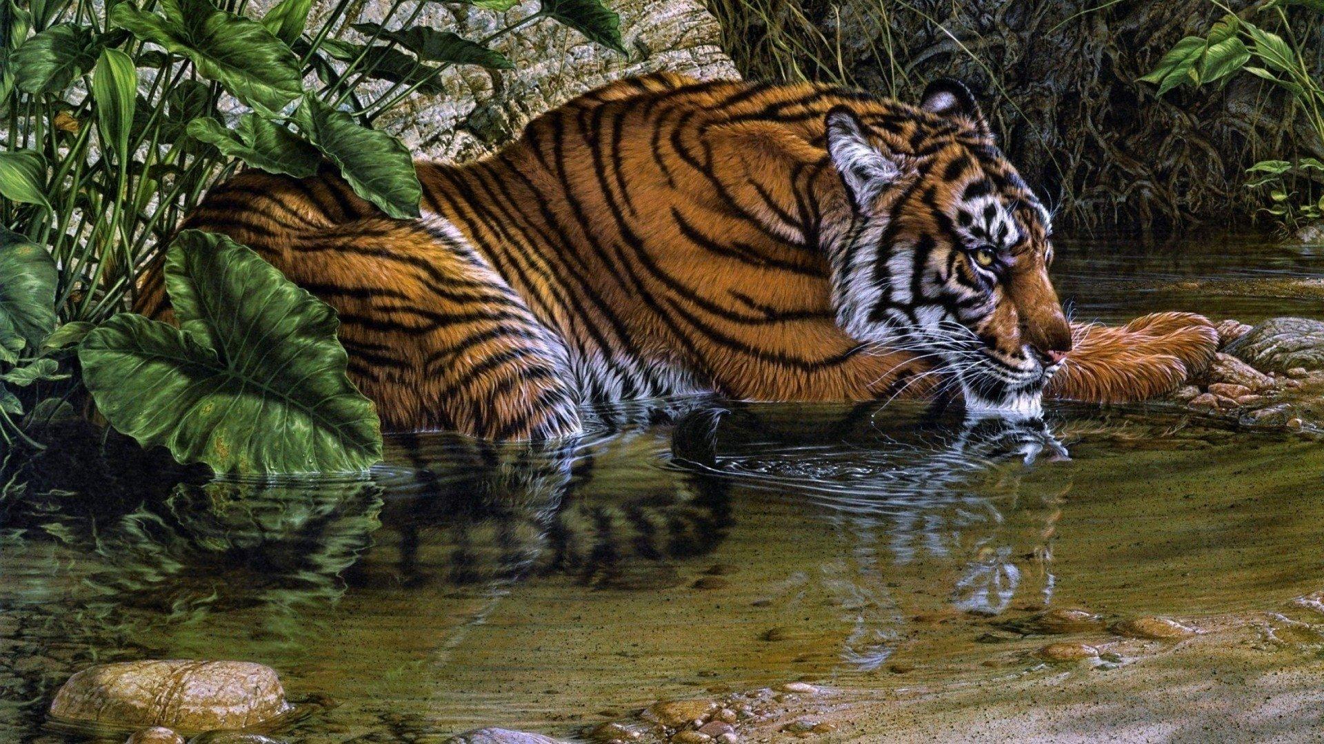 Painting of a Tiger HD Wallpaper