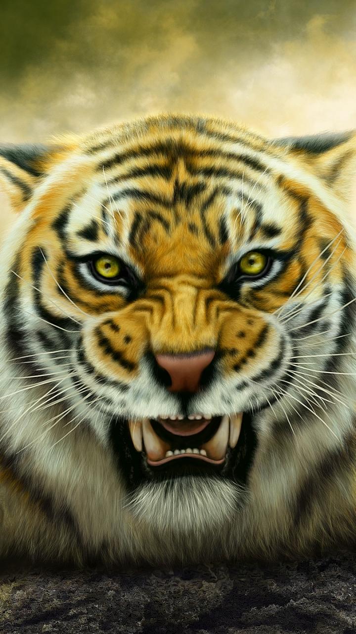 Animal Tiger (720x1280) Wallpaper