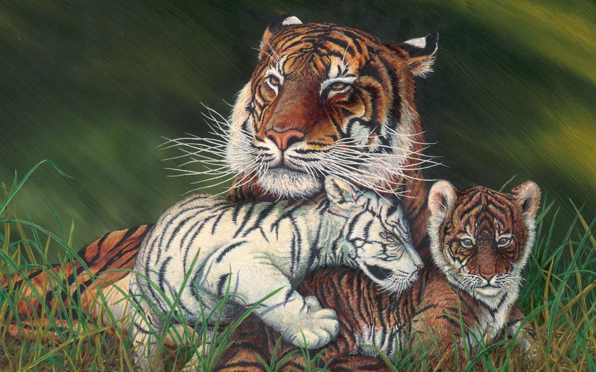 Tiger and Her Cubs HD Wallpaper