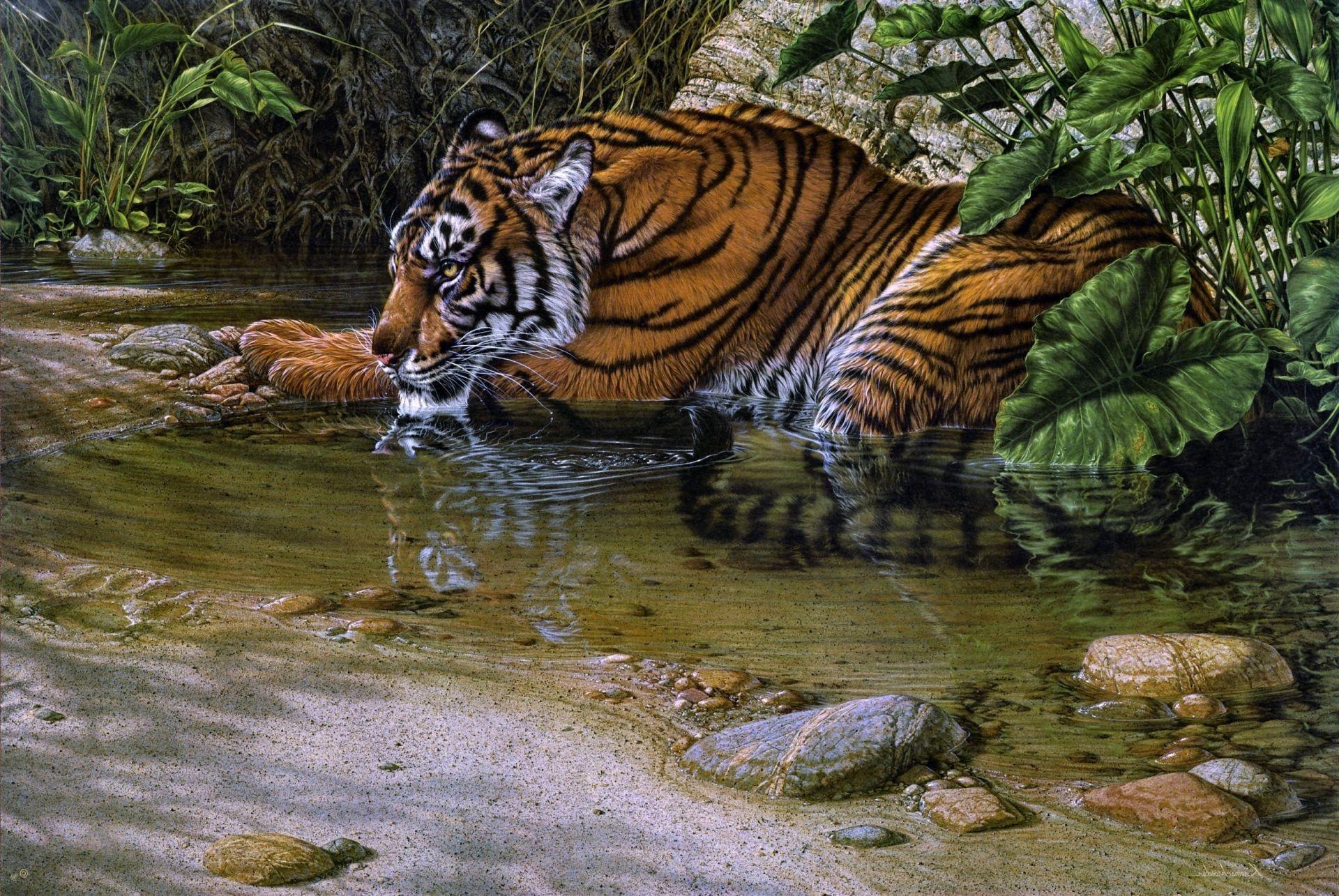 Lee kromschroeder painting river tiger jungle tiger thi