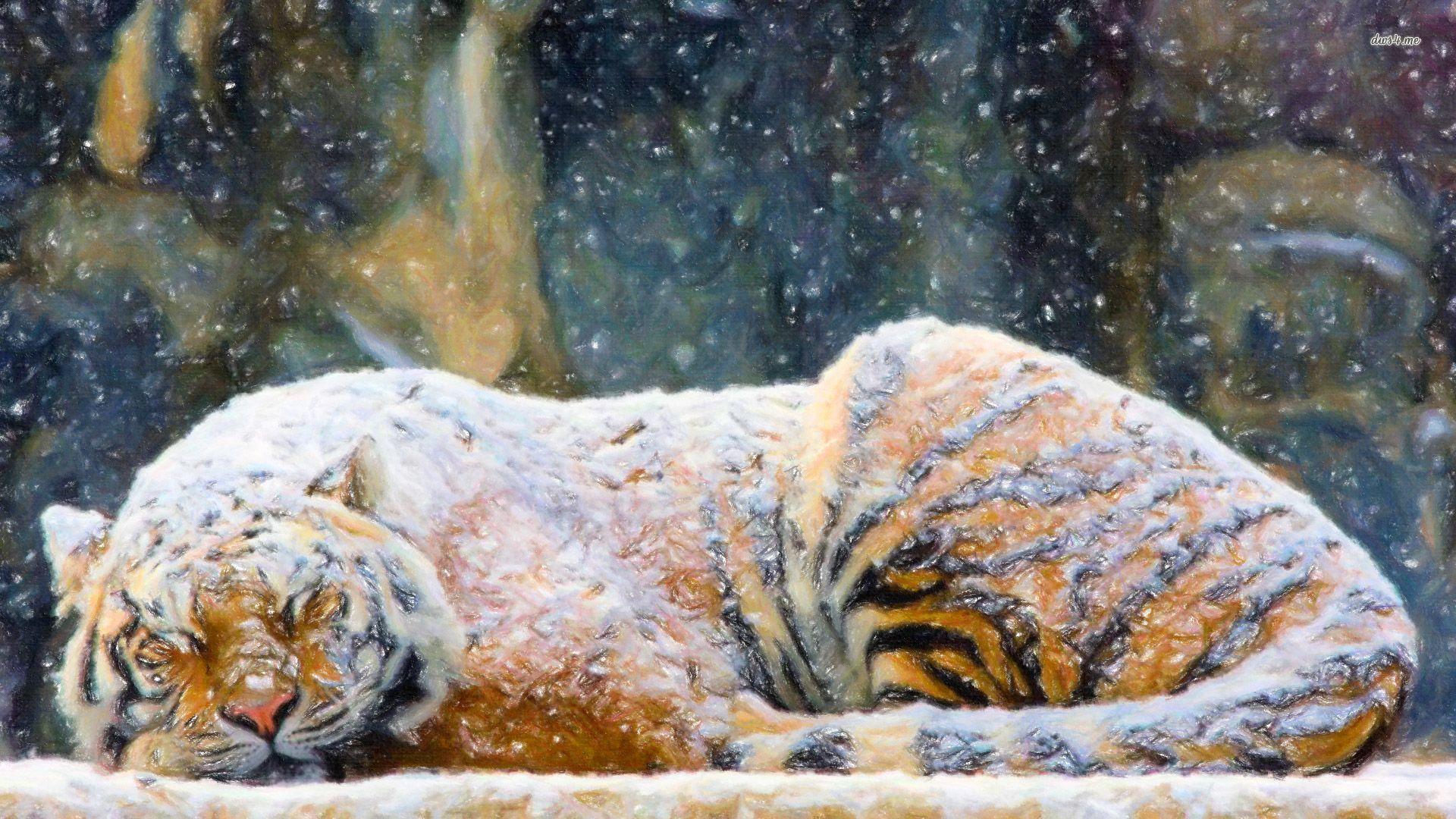 Tiger HD Galleries (20)