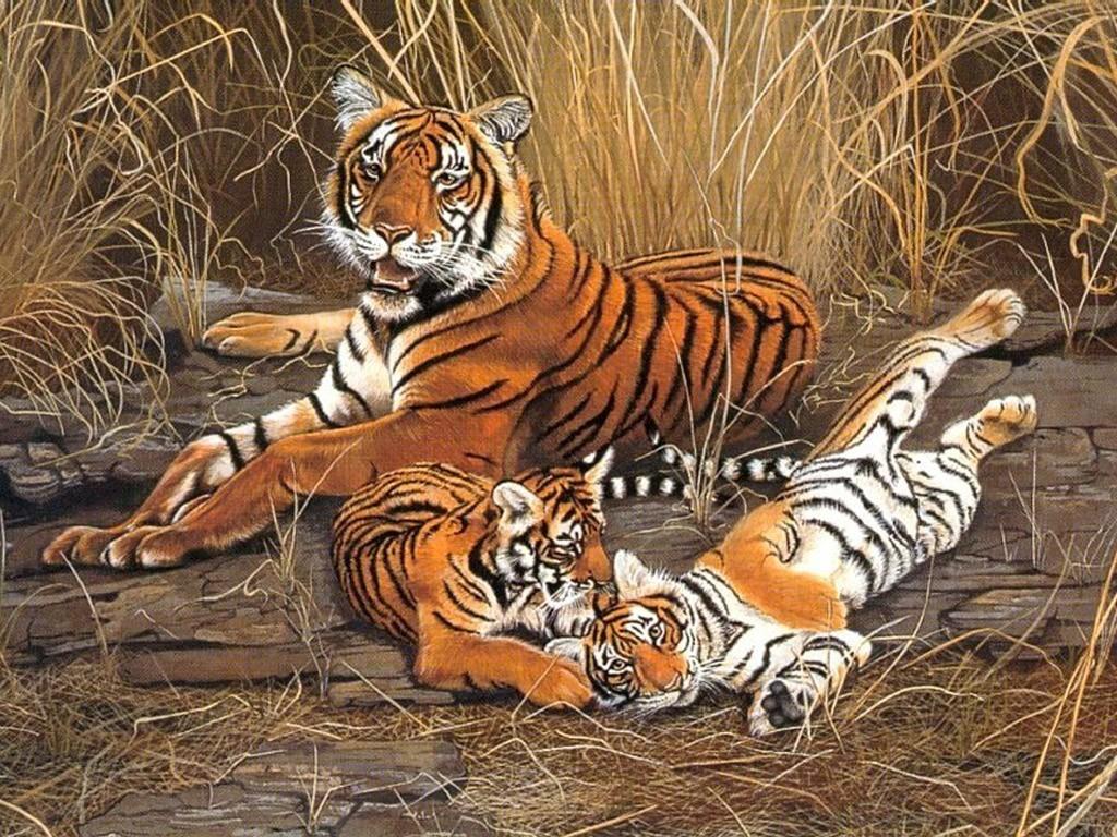 Wallpaper Other: Tiger Family Painting Tigers Animal High Quality