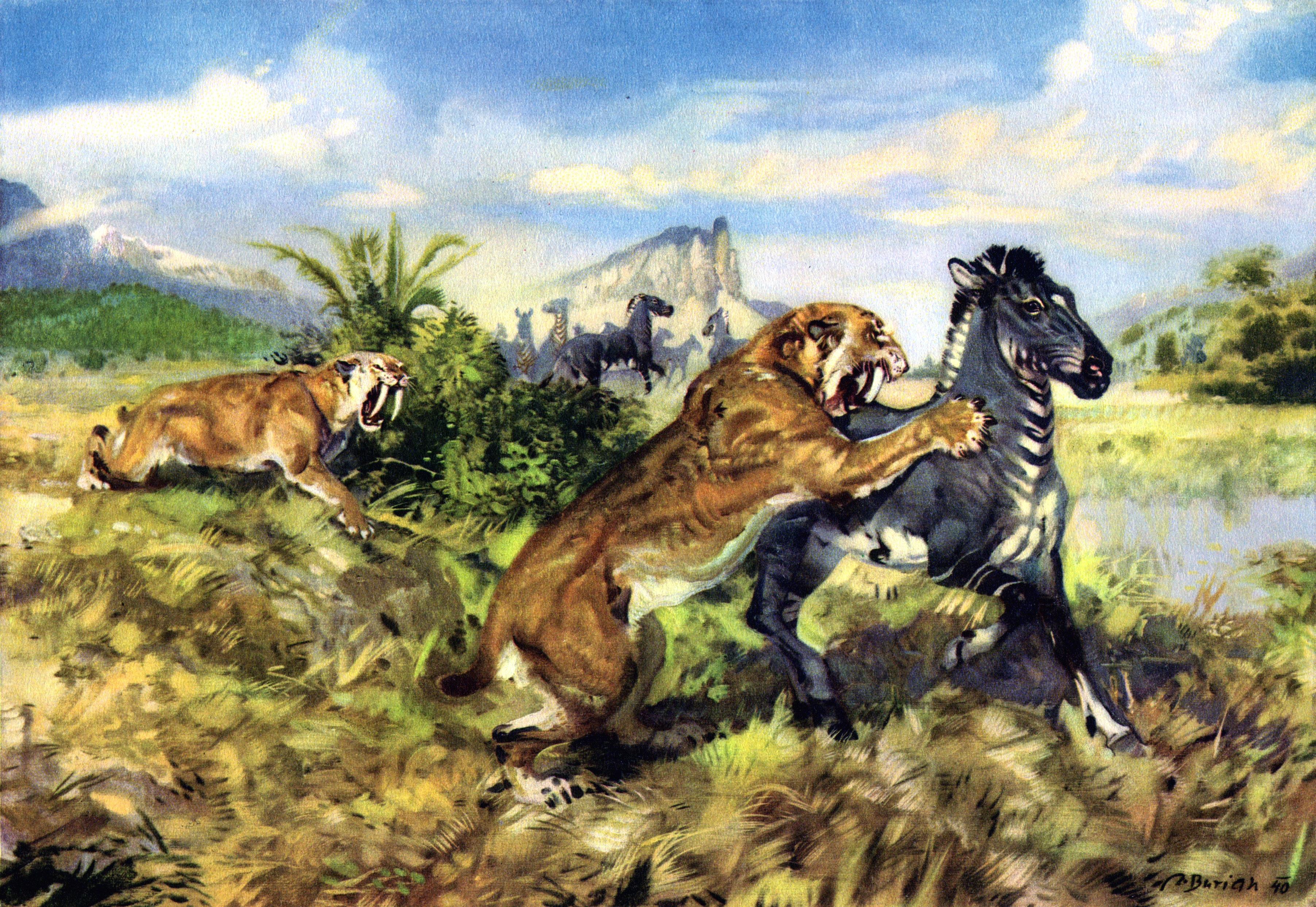 Saber Tooth Tiger Painting. Explore