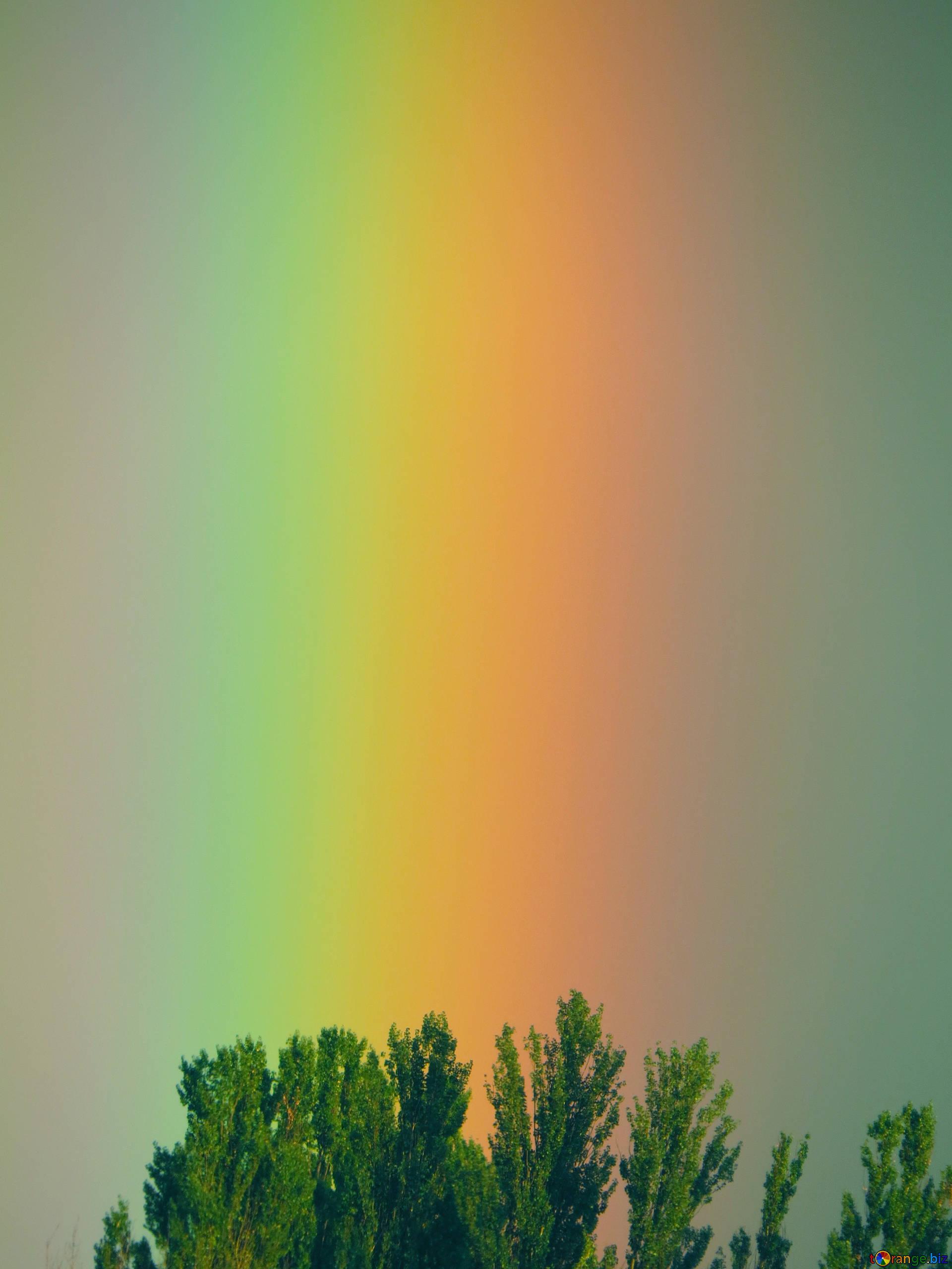 Rainbow rainbow gradient shine № 43246