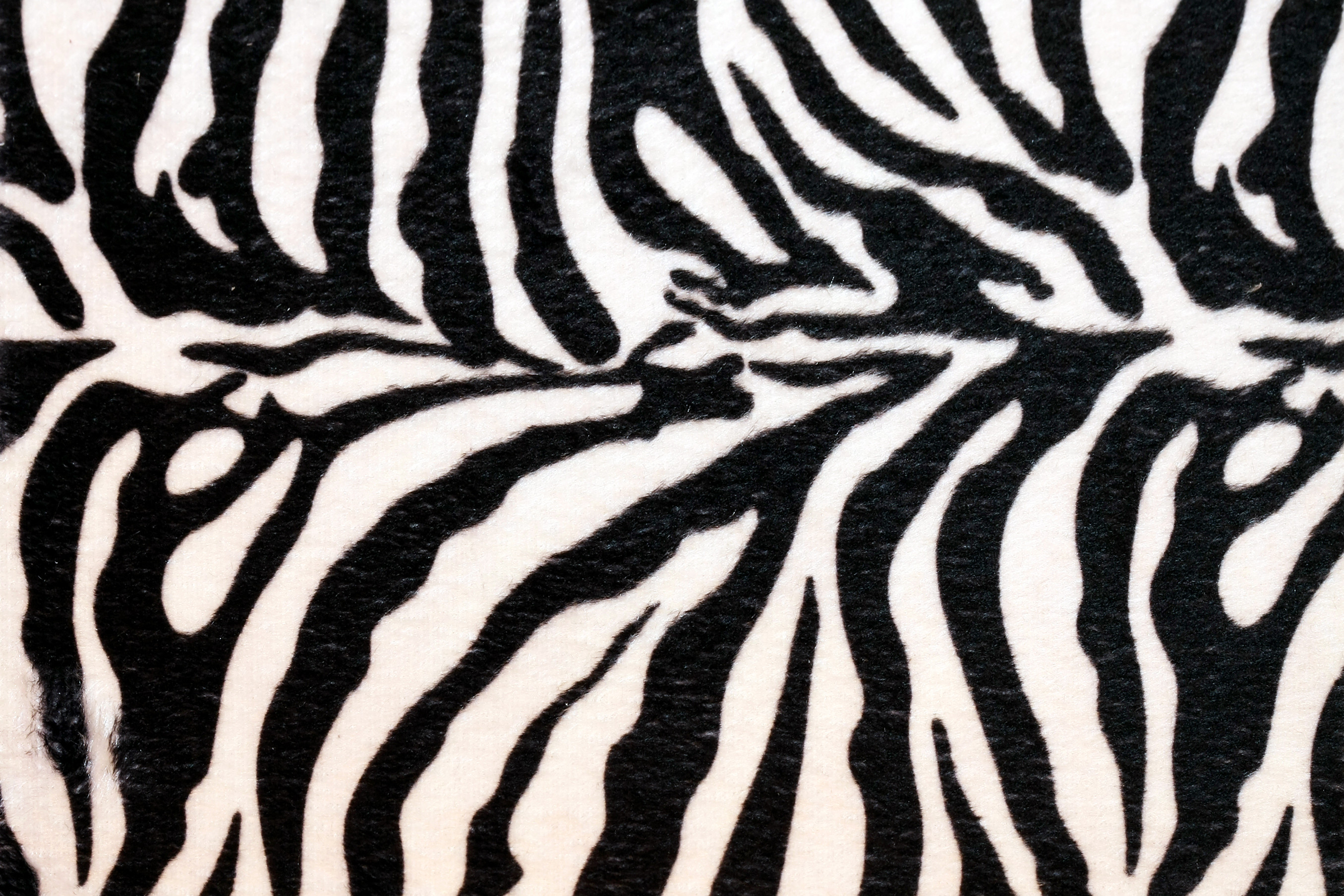 Wildlife, Vector Graphics, Zebra, Animal Print, Black and White HD