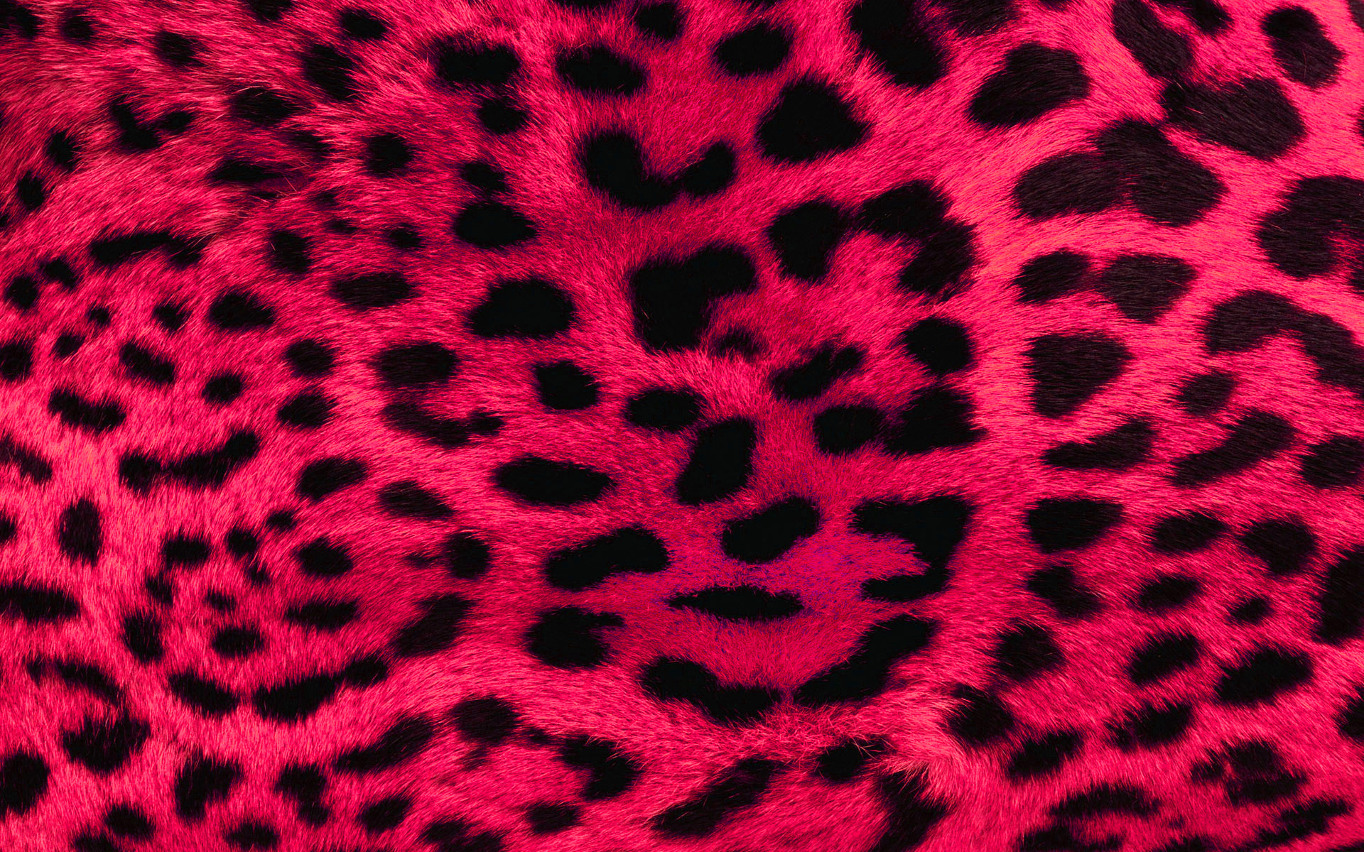 Group of Animal Print Desktop Background