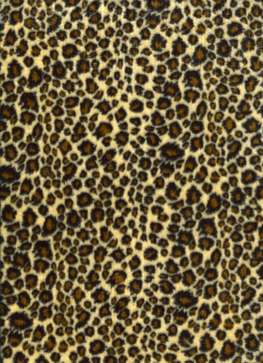 Animal Print Wallpaper Nice Wallpaper