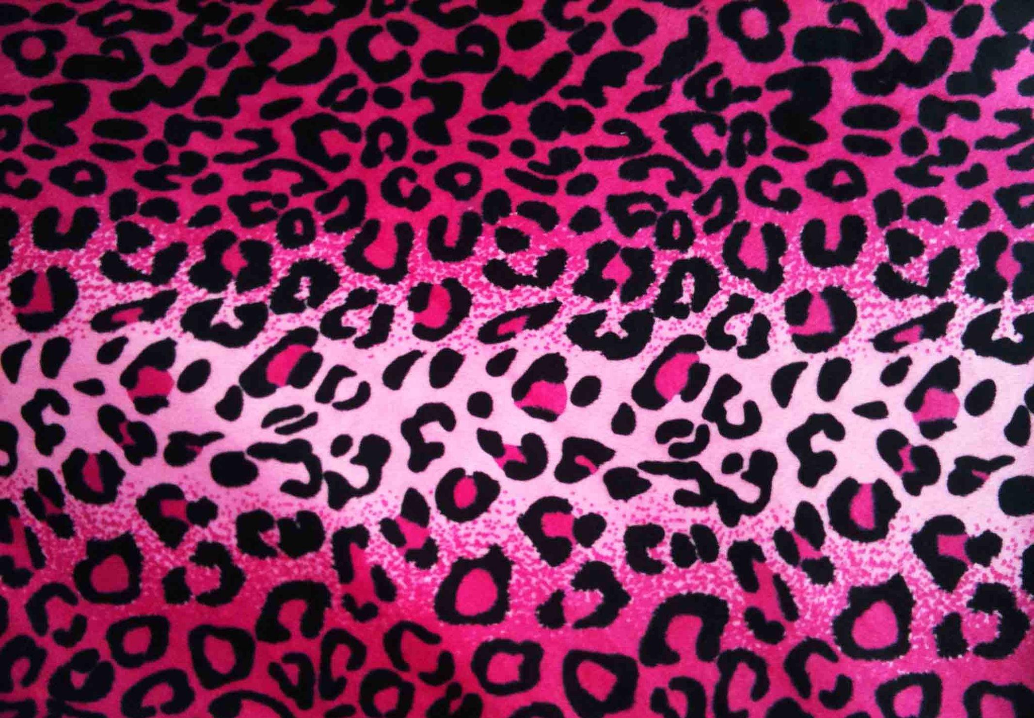 Girly Animal Print Wallpaper Animals Wallpaper and Background