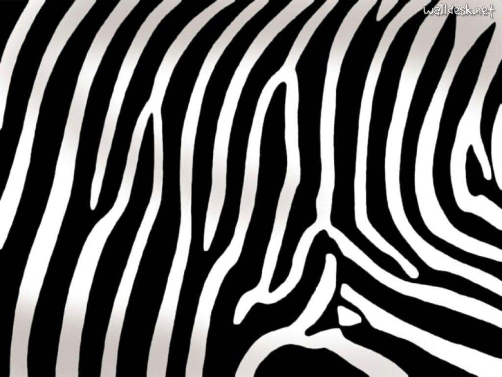Animal Print Fondos De Pantalla Zebra Papeis Escritorio Texturas