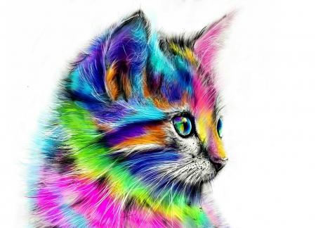 Rainbow kitten kitten & Abstract Background Wallpaper on Desktop. Kitten Wallpaper
