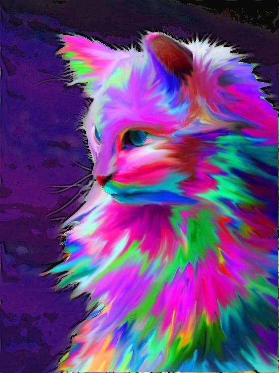 Twilight Kitten Custom Conjure. Cats. Kitty. of Colorful Kitten Wallpaper Kitten Wallpaper