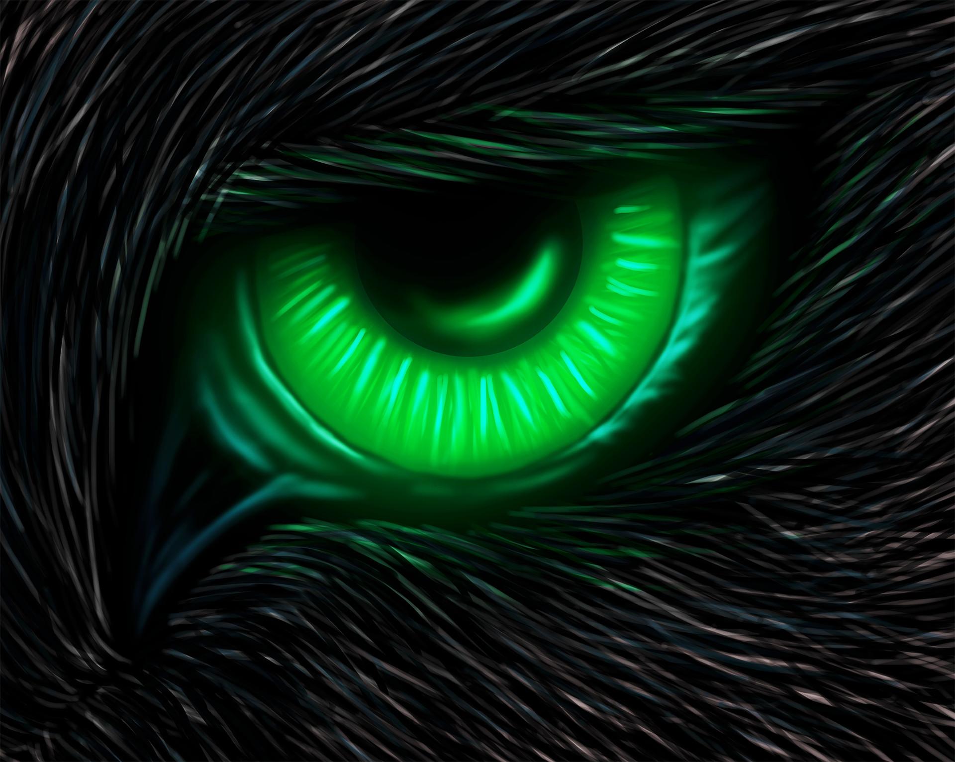 Black Wolf With Green Eyes Wallpaper