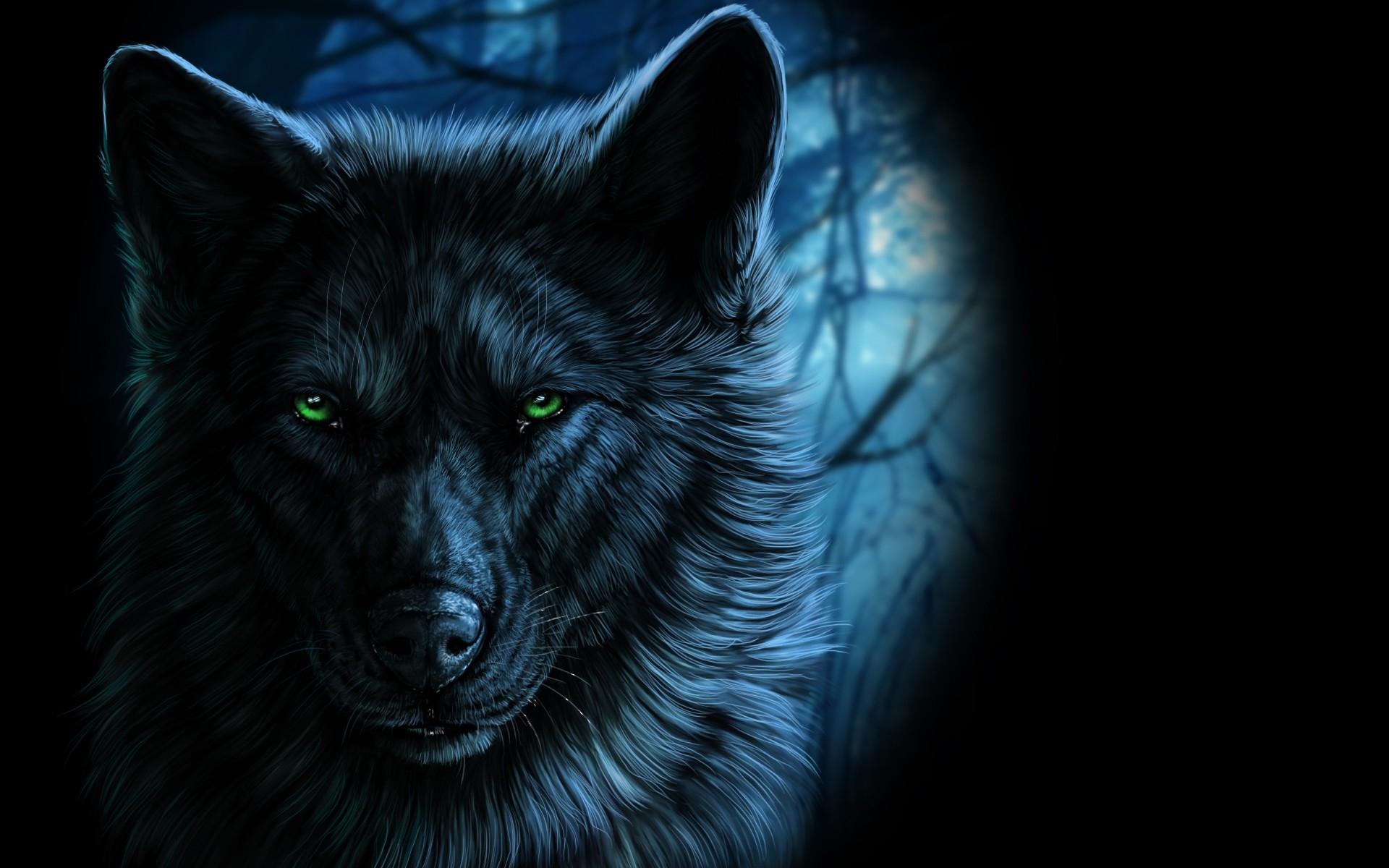 Download 1920x1200 Wolf, Majestic, Green Eyes Wallpaper for MacBook