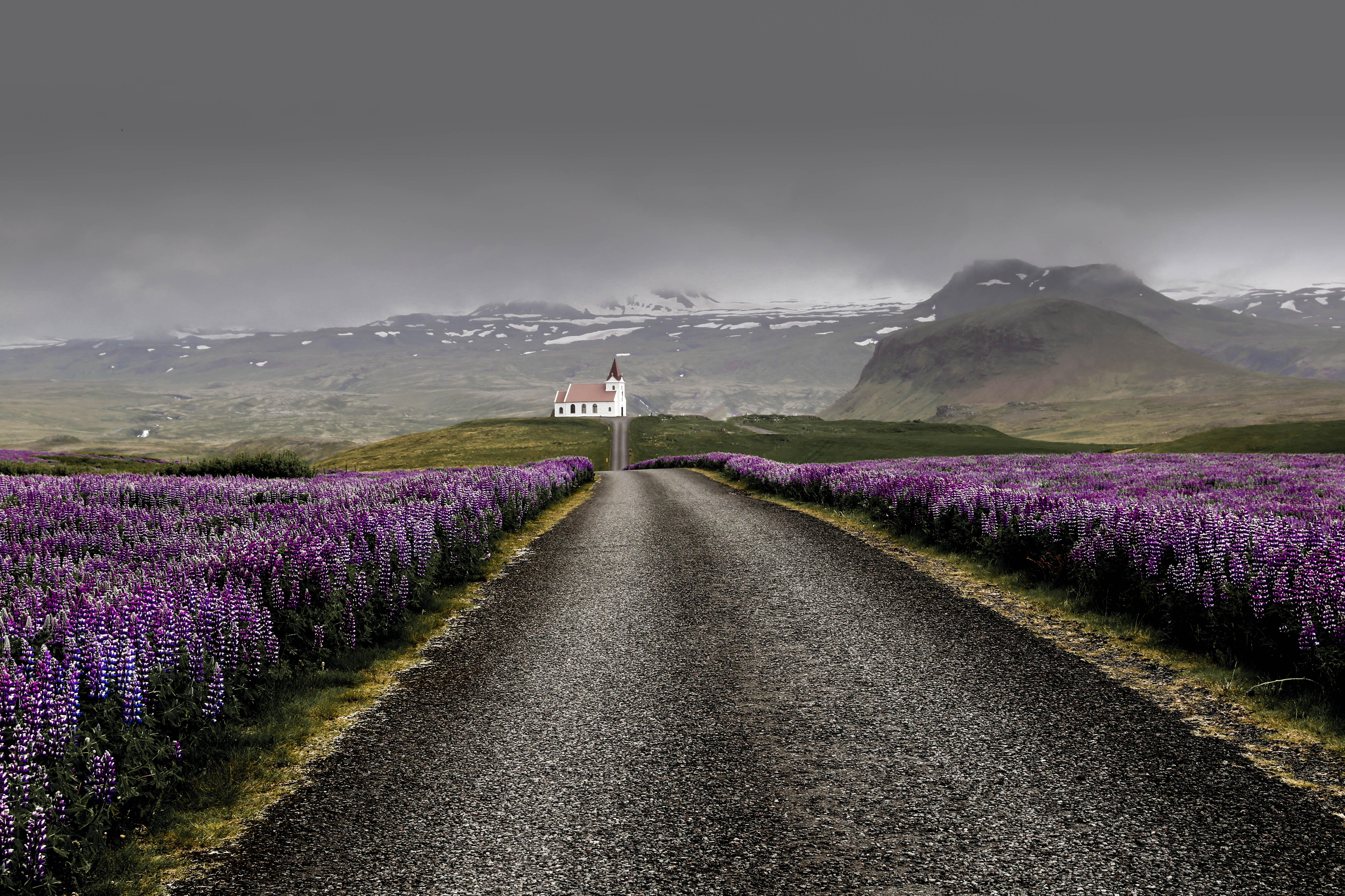 Cloud, Flower, Purple Flower, Road, Iceland wallpaper